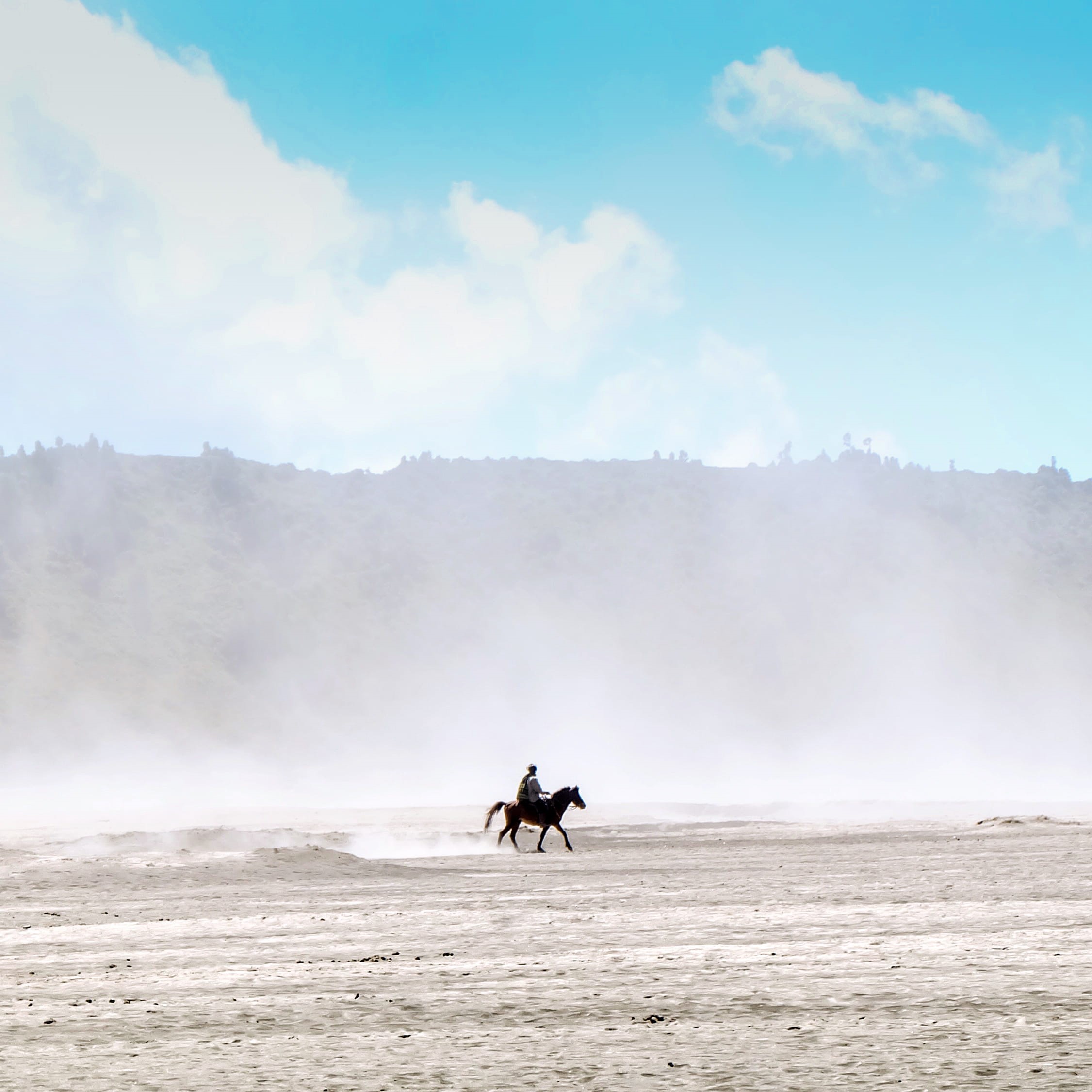 mammal, animal wildlife, nature, mount bromo, land, domestic, cloud - sky, day, feeling small, fujifeedxunsplash, water, sky, one animal, vertebrate, real people, Phone HD Wallpaper