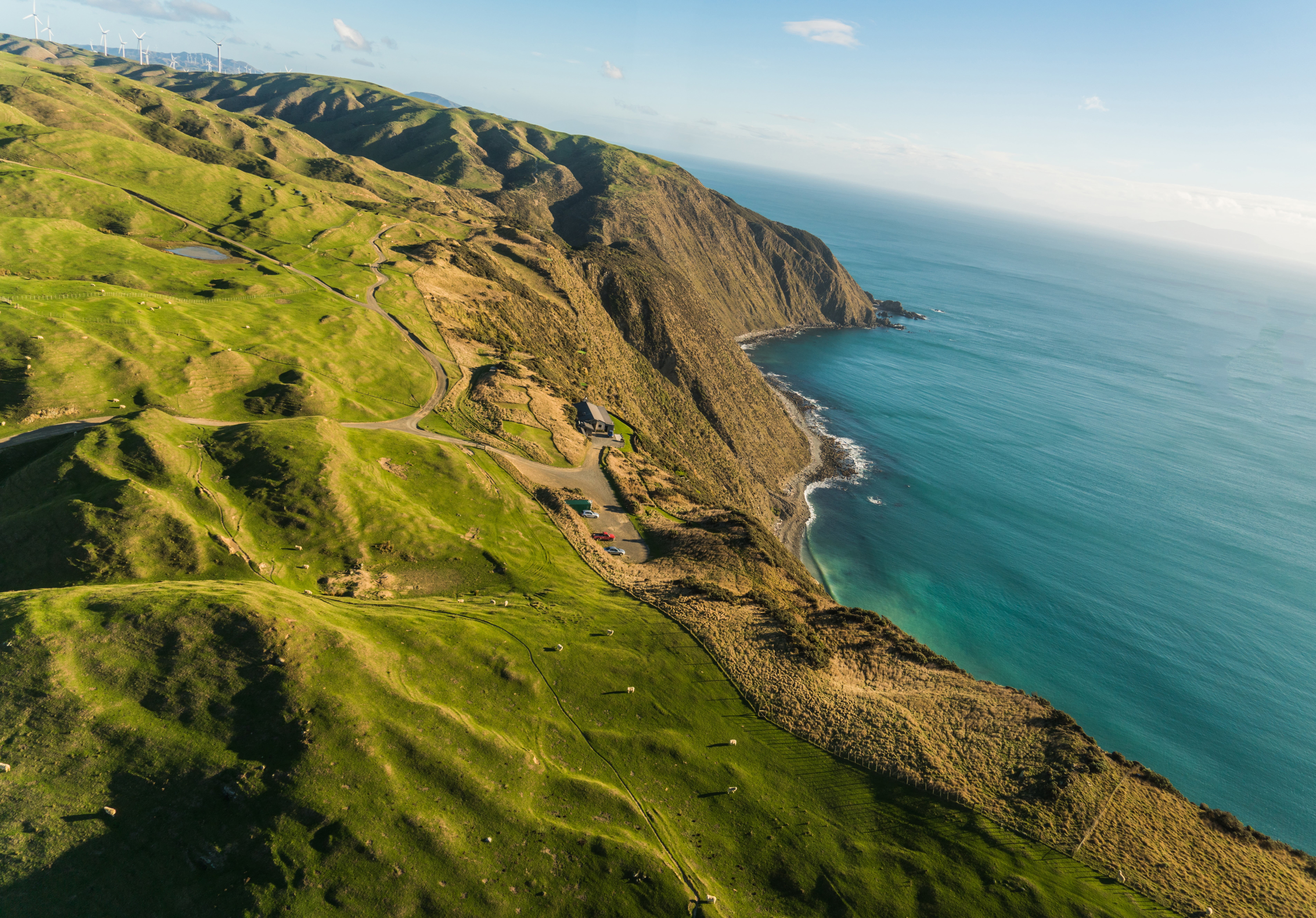 Forest, Capital, Luxury  Hotel, North  Island, Outside, Outdoor, DJI, Lodge, coastline, Cliff, May, Wellington, Horizontal, body, daytime, Time, near, Sony  ILCE-7RM2, HD Wallpaper