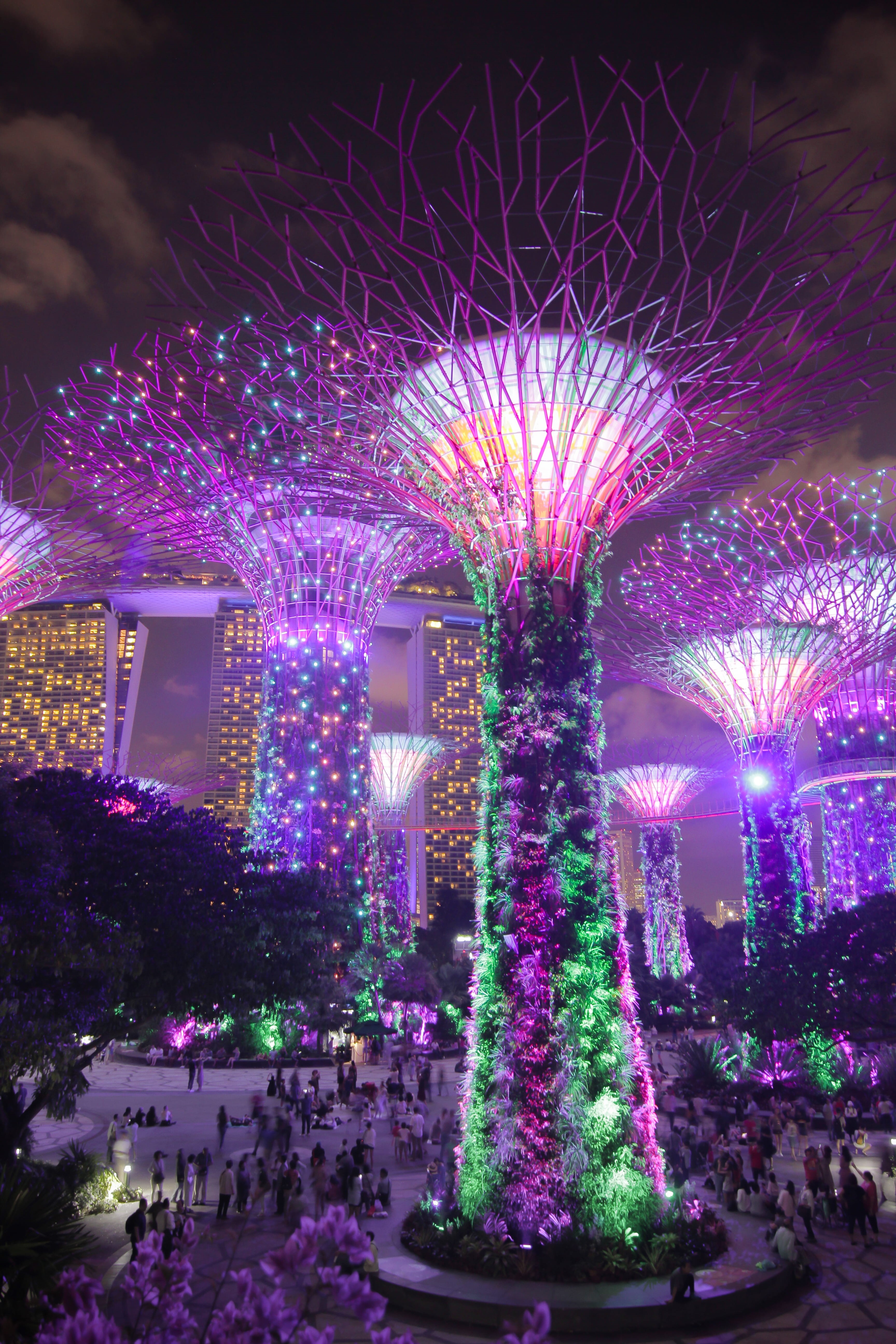 firework, night, trees, arts culture and entertainment, building, adventure, architecture, purple, built structure, green, celebration, outdoors, city, Phone HD Wallpaper