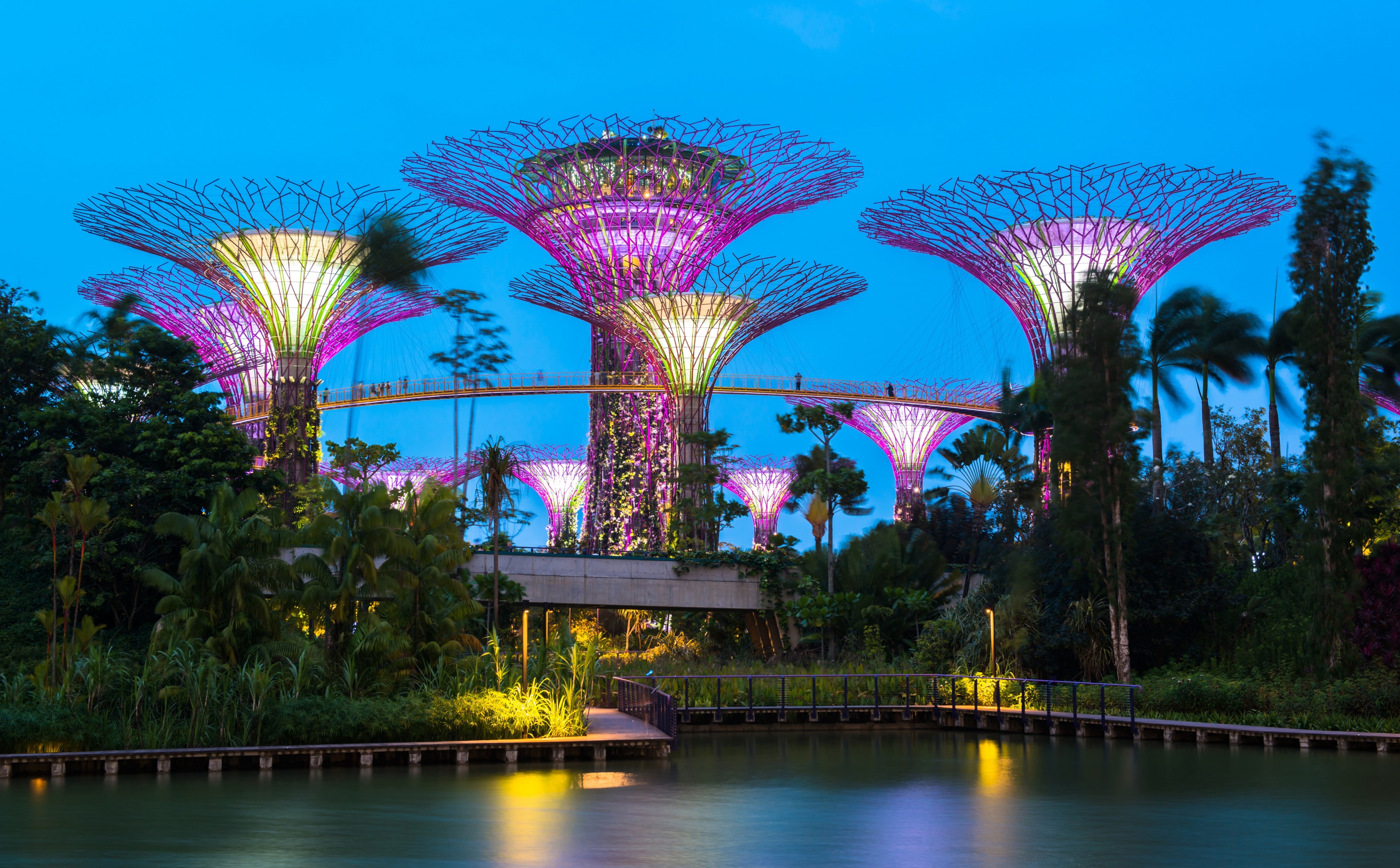 sky, Downtown, Cityscape, Park, supertree, tourism, bay, Destination, purple, brown, visit, illuminated, blue, Modern, Singapore, Amazing, gardens, 5K, HD Wallpaper