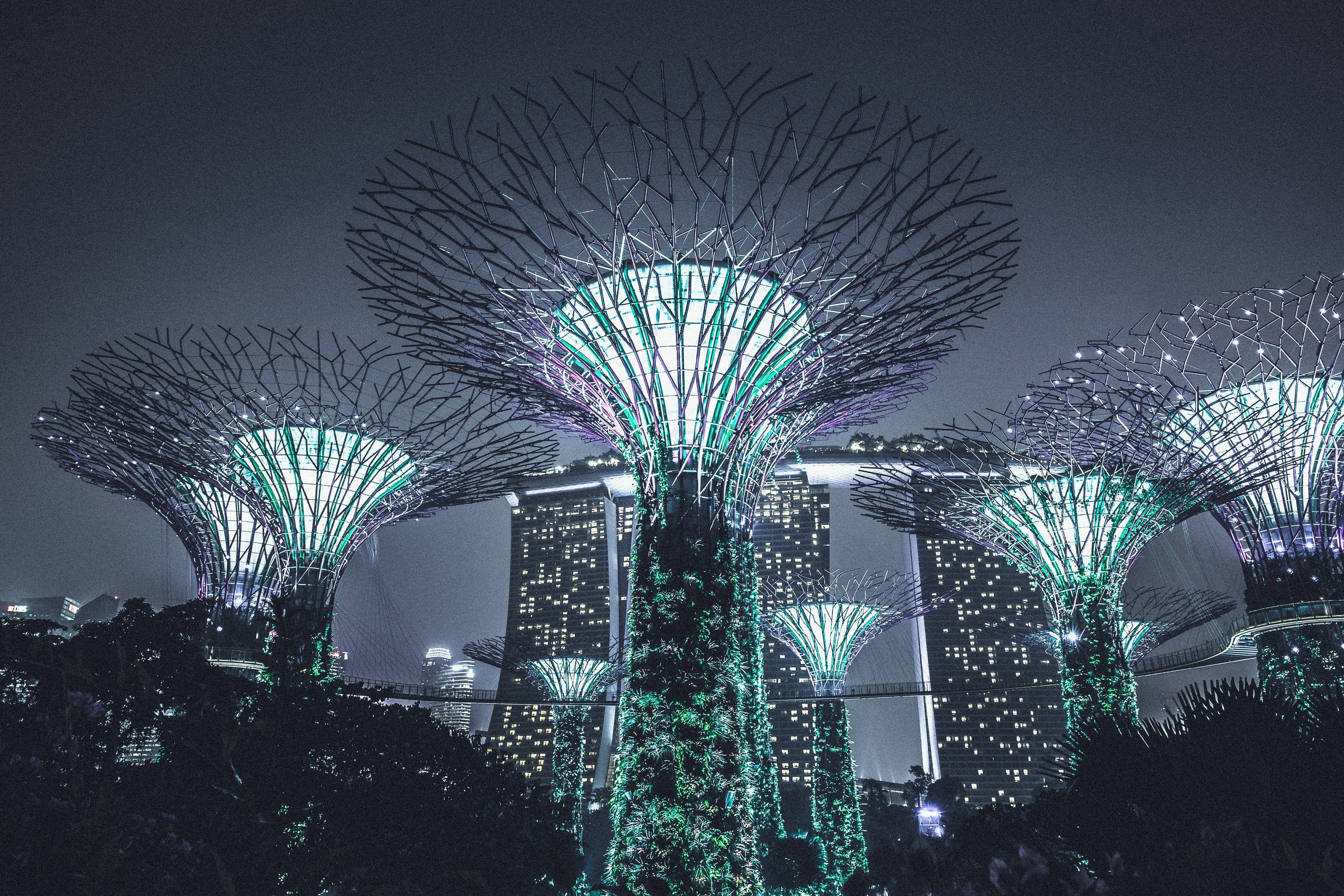 ferris wheel, gardens By The Bay, arts culture and entertainment, asia, light, travel destinations, illuminated, lighting Equipment, no people, skyscraper, HD Wallpaper