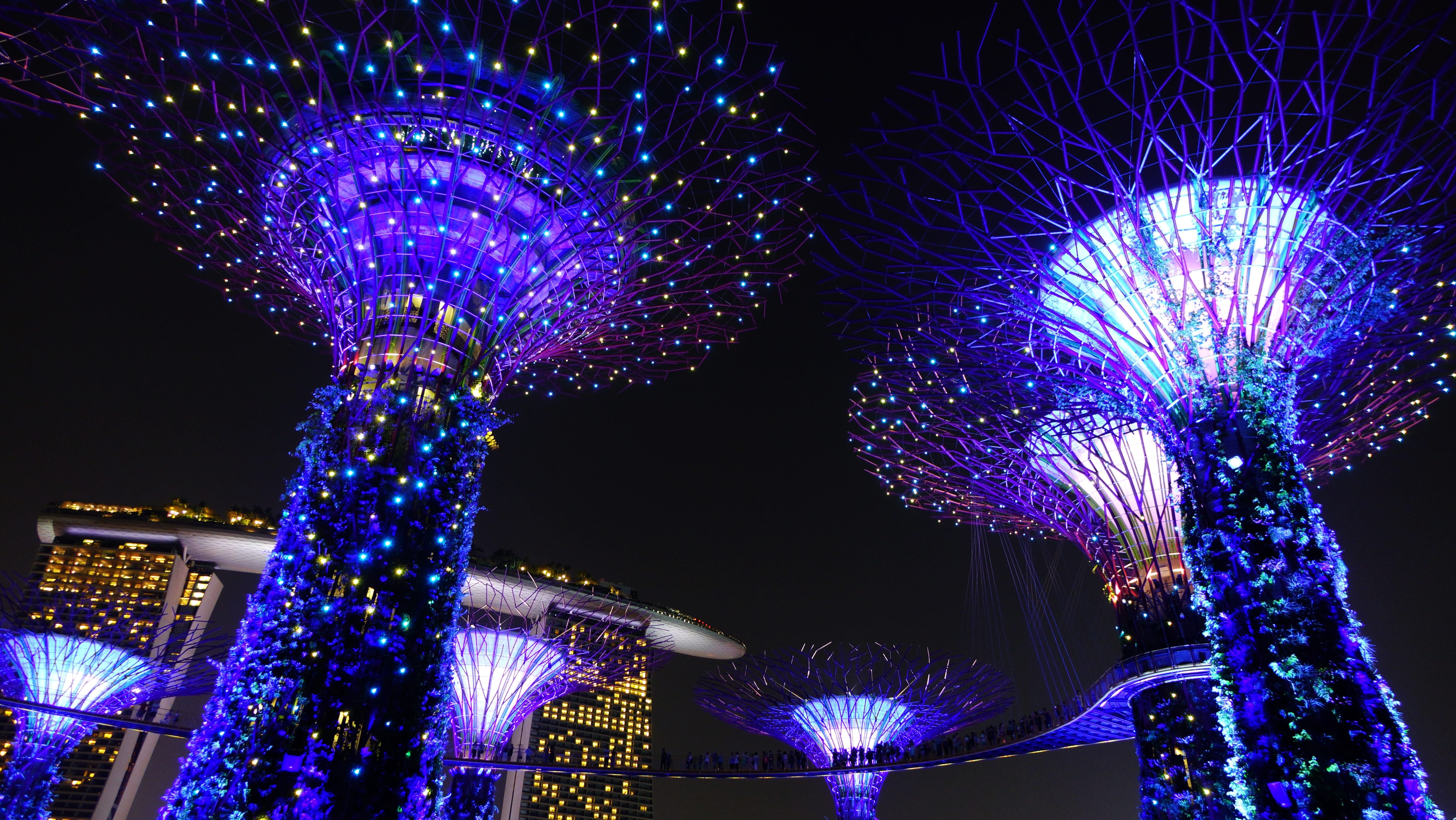 5K, building exterior, marina, glowing, celebration, structure, christmas, decoration, lights, attraction, trees, futuristic, event, Singapore, supertree, HD Wallpaper