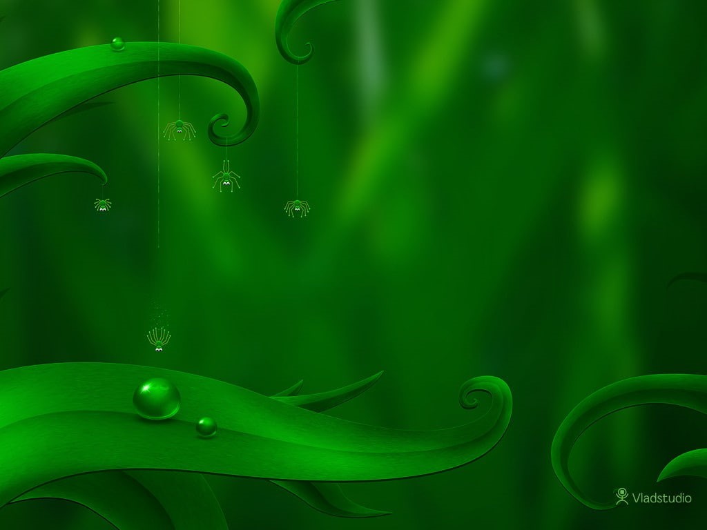 water drops, dew, spider, tendril, green color, growth, beauty in nature, nature, Vladstudio, shape, abstract, leaf, motion, green background, raindrop, HD Wallpaper