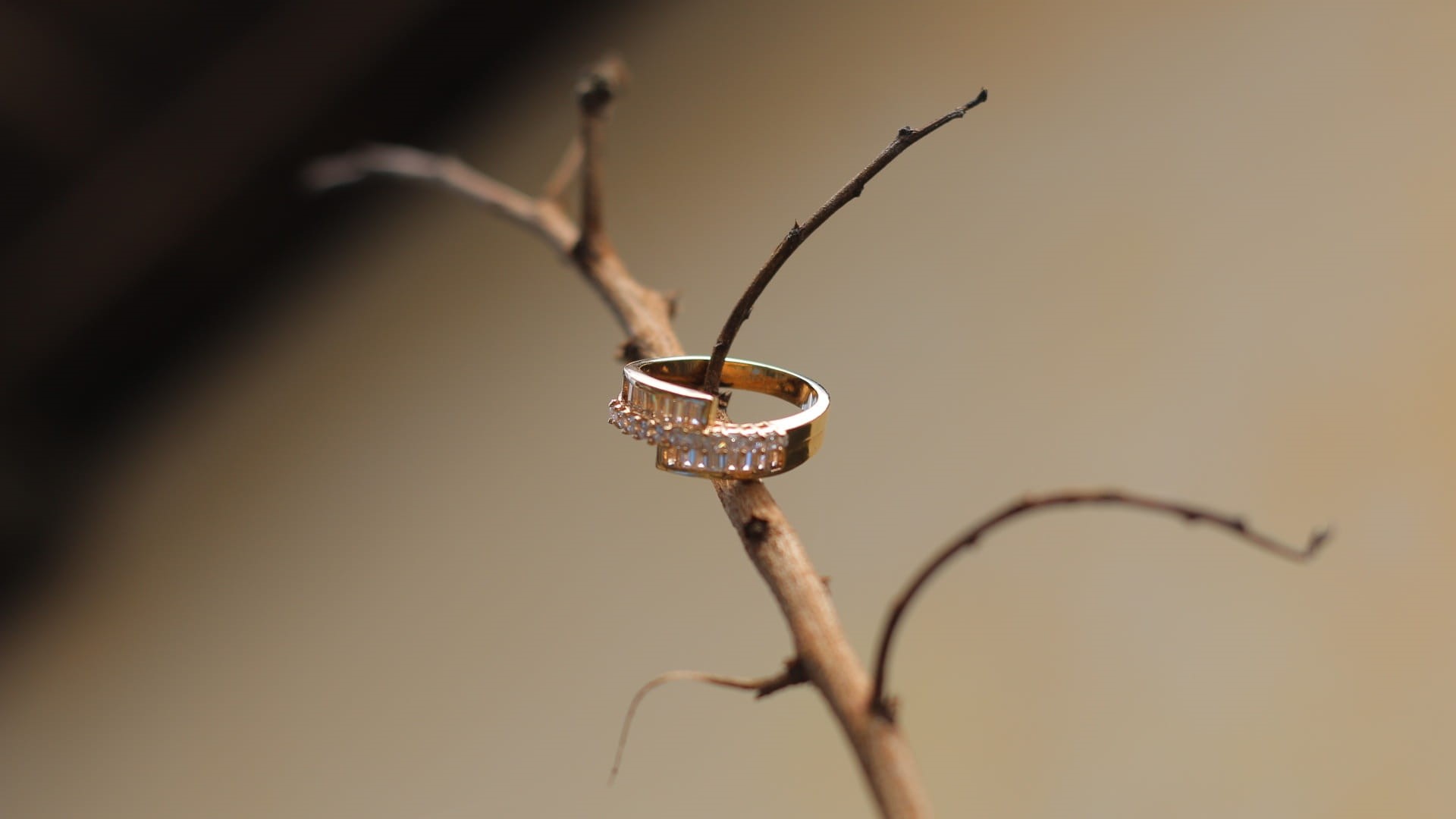 ring, 1080P, plant part, nature, jewelry, alliance, dead plant, macro, tree, outdoors, plant stem, branch, drop, selective focus, no people, marriage, HD Wallpaper