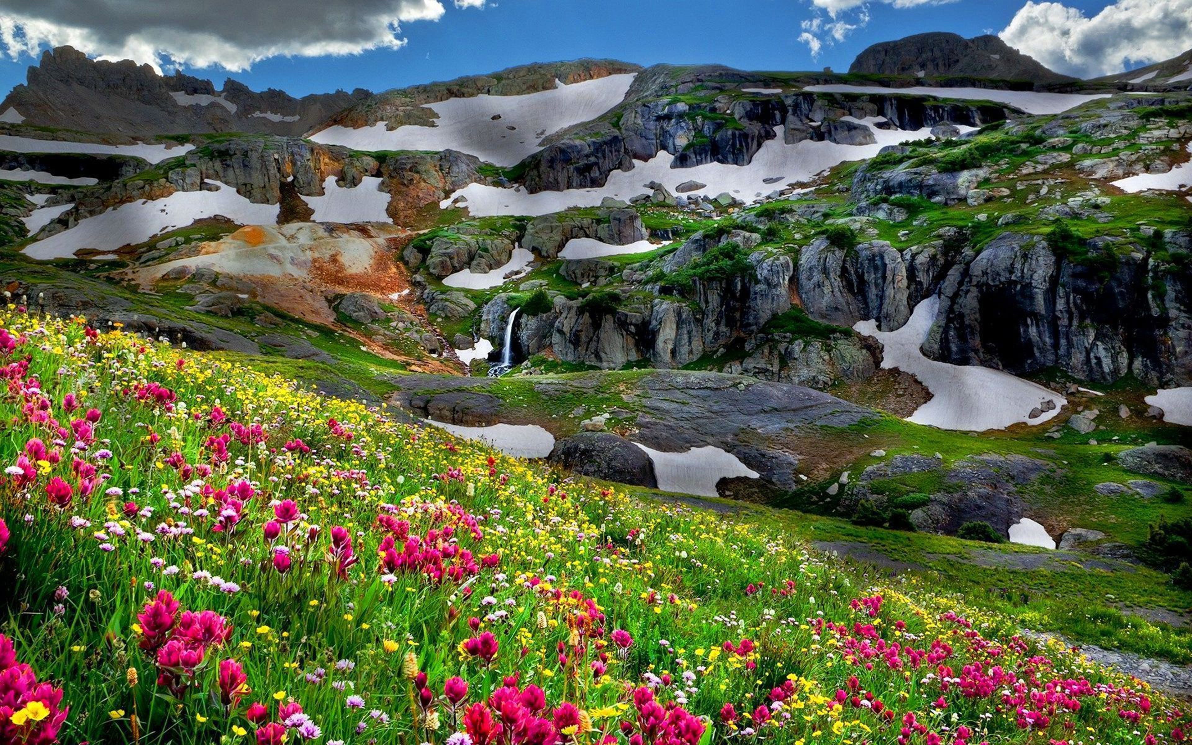 outdoors, spring, land, tranquility, mountainous, plant, beauty in nature, rocks, scenics - nature, flowers, rock - object, mountain, flowering plant, beautiful, HD Wallpaper