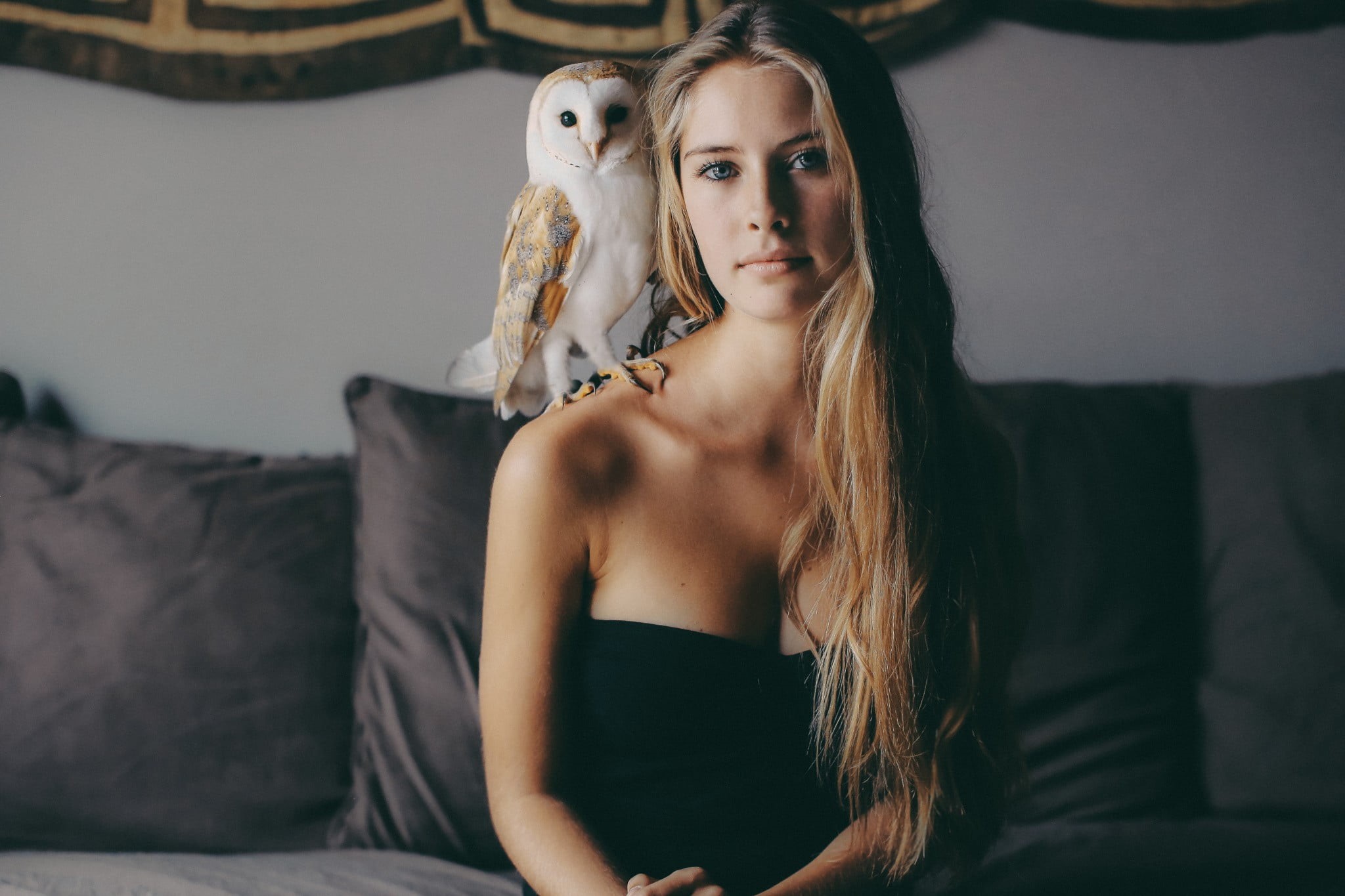 lifestyles, hairstyle, blue eyes, one person, women, furniture, long hair, Camille Rochette, owl, top, beauty, beautiful woman, young women, bare shoulders, HD Wallpaper
