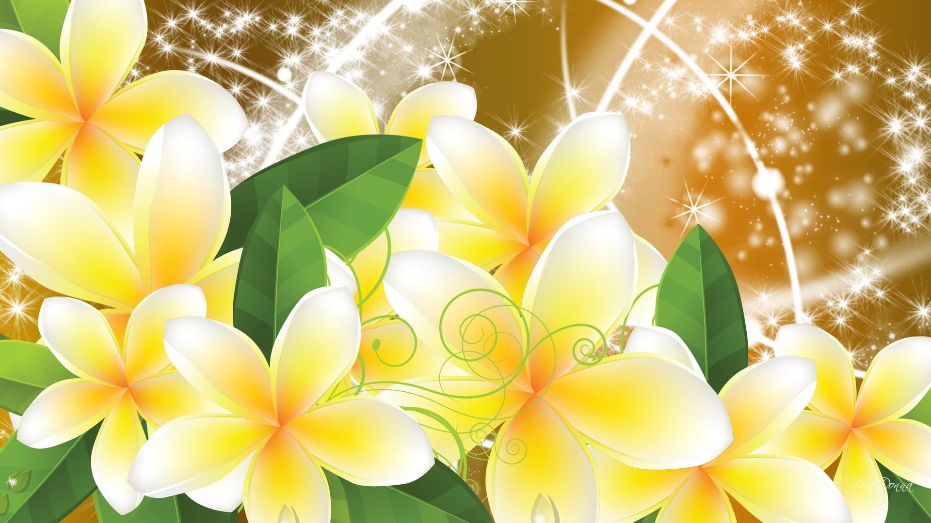 flowers, gold, white, green, plumeria, nature and landscapes, 1080P, shine, floral, yellow, stars, frangipani, sparkle, HD Wallpaper
