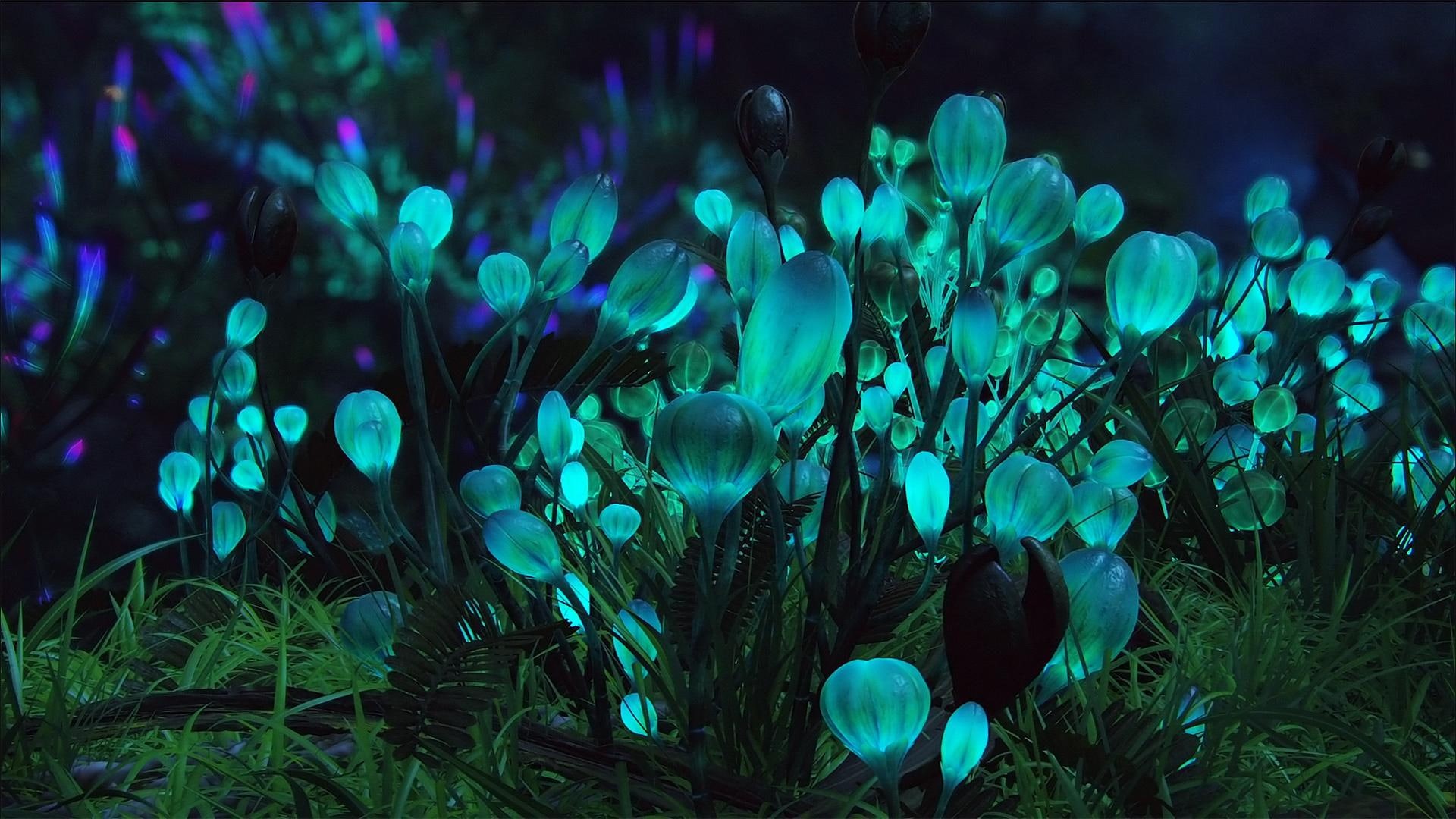 avatar, movies, 1080P, pendulum, HD Wallpaper