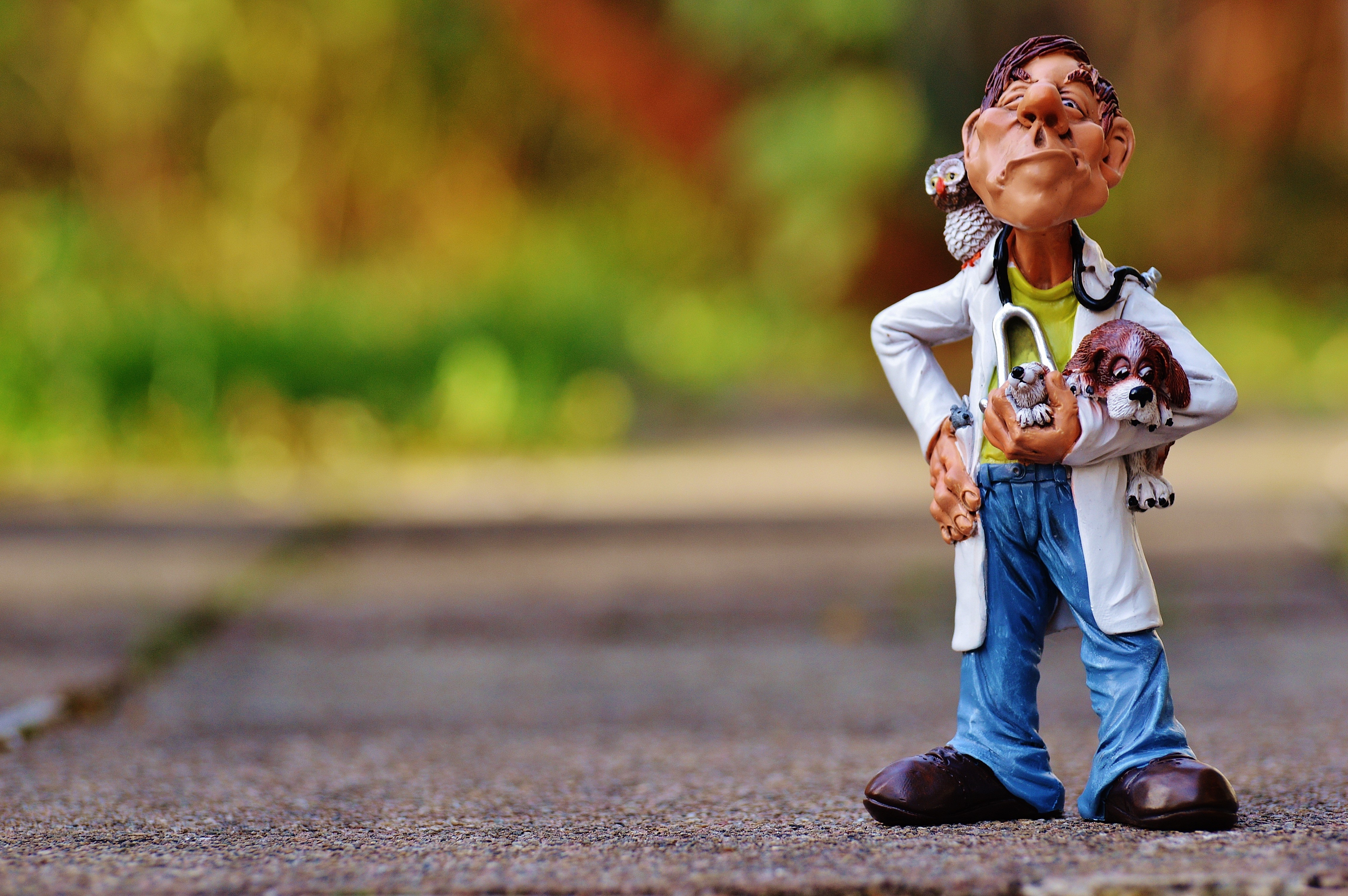 small, holding, people, help, nature, toy, representation, heal, veterinarian, front view, full length, men, outdoors, stilt, pet, childhood, sunlight, HD Wallpaper