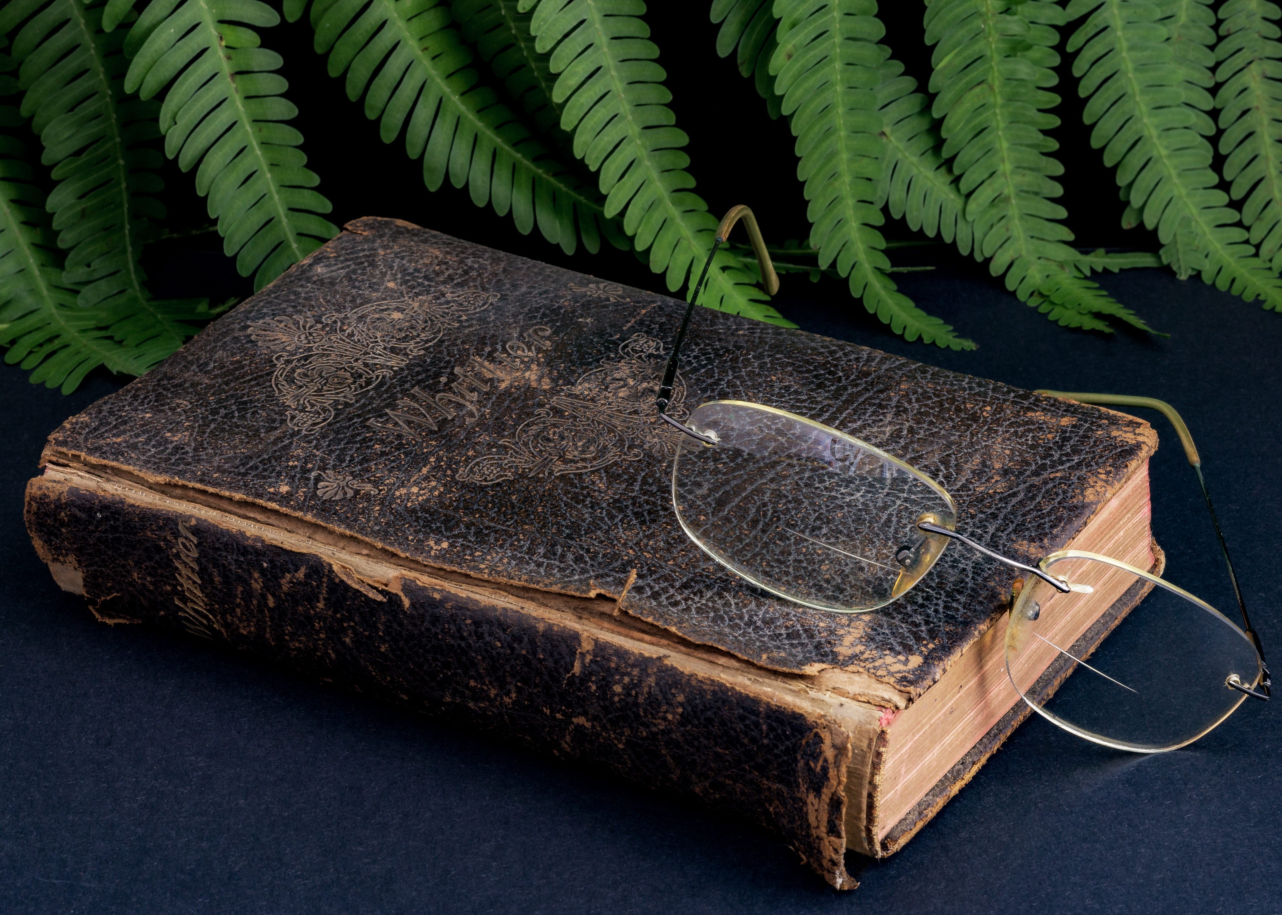 nostalgia, glasses, leaves, plant part, green color, indoors, weathered, old, used, still life, 4K, plant, container, fern, no people, table, day, bifocals, HD Wallpaper