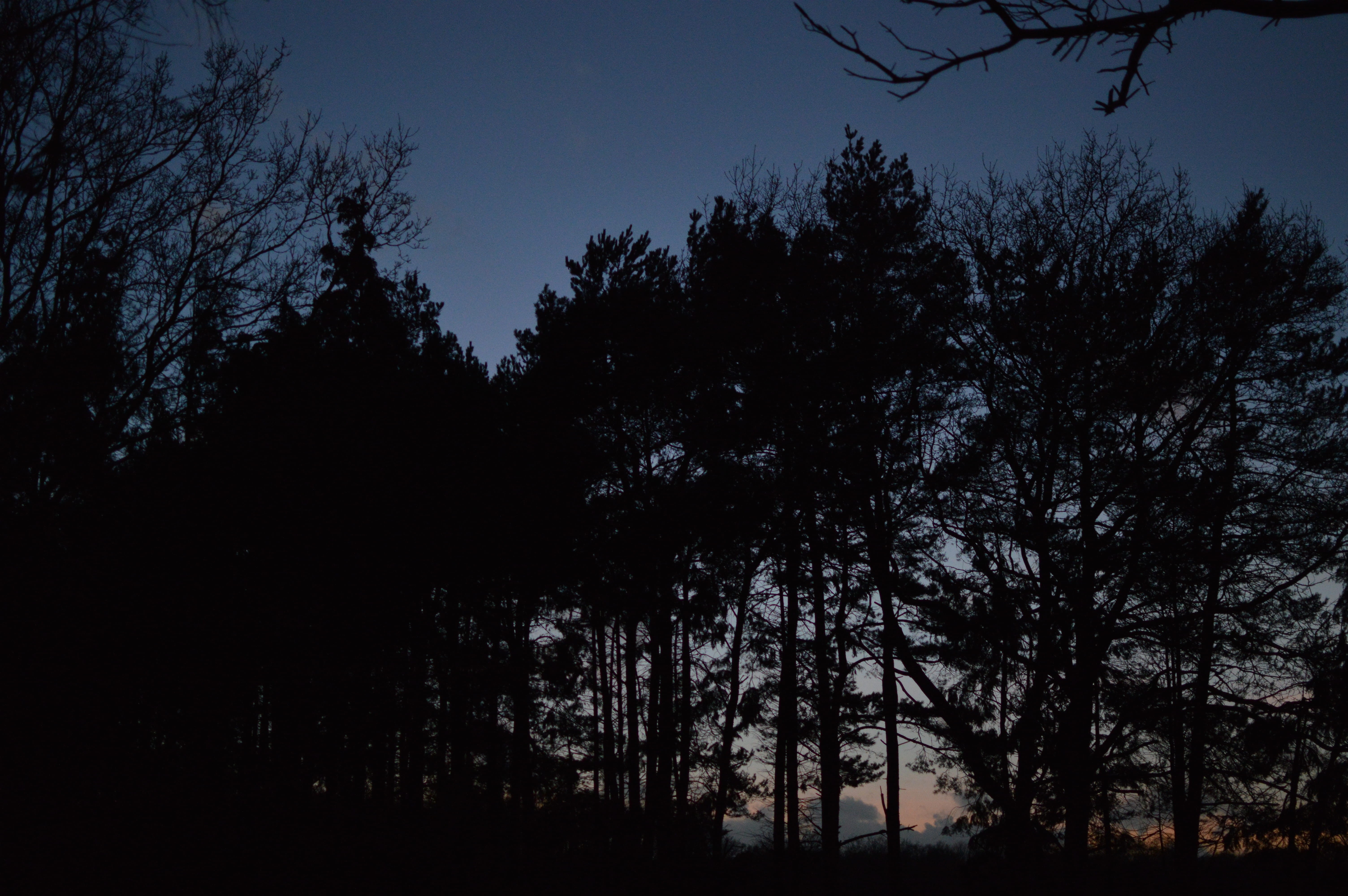 dusk, countryside, growth, bradfield woods, beauty in nature, non-urban scene, 5K, lake, sun, dark, fields, tranquility, silhouette, bury saint edmunds, HD Wallpaper