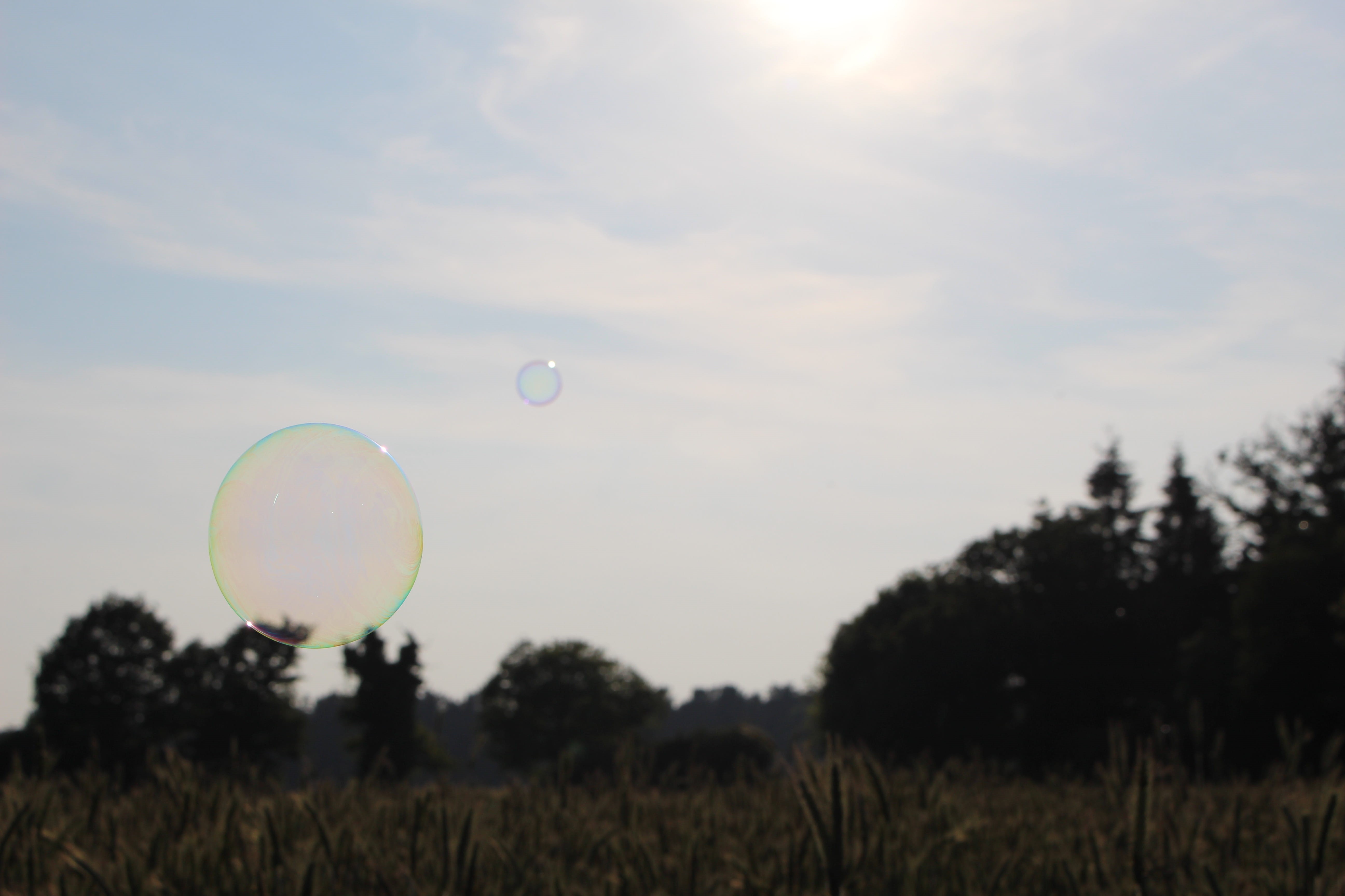 art, outdoors, field, environment, vulnerability, bubble, sun, tranquil scene, sunray, fragility, cloud - sky, landscape, united kingdom, tranquility, forest, HD Wallpaper