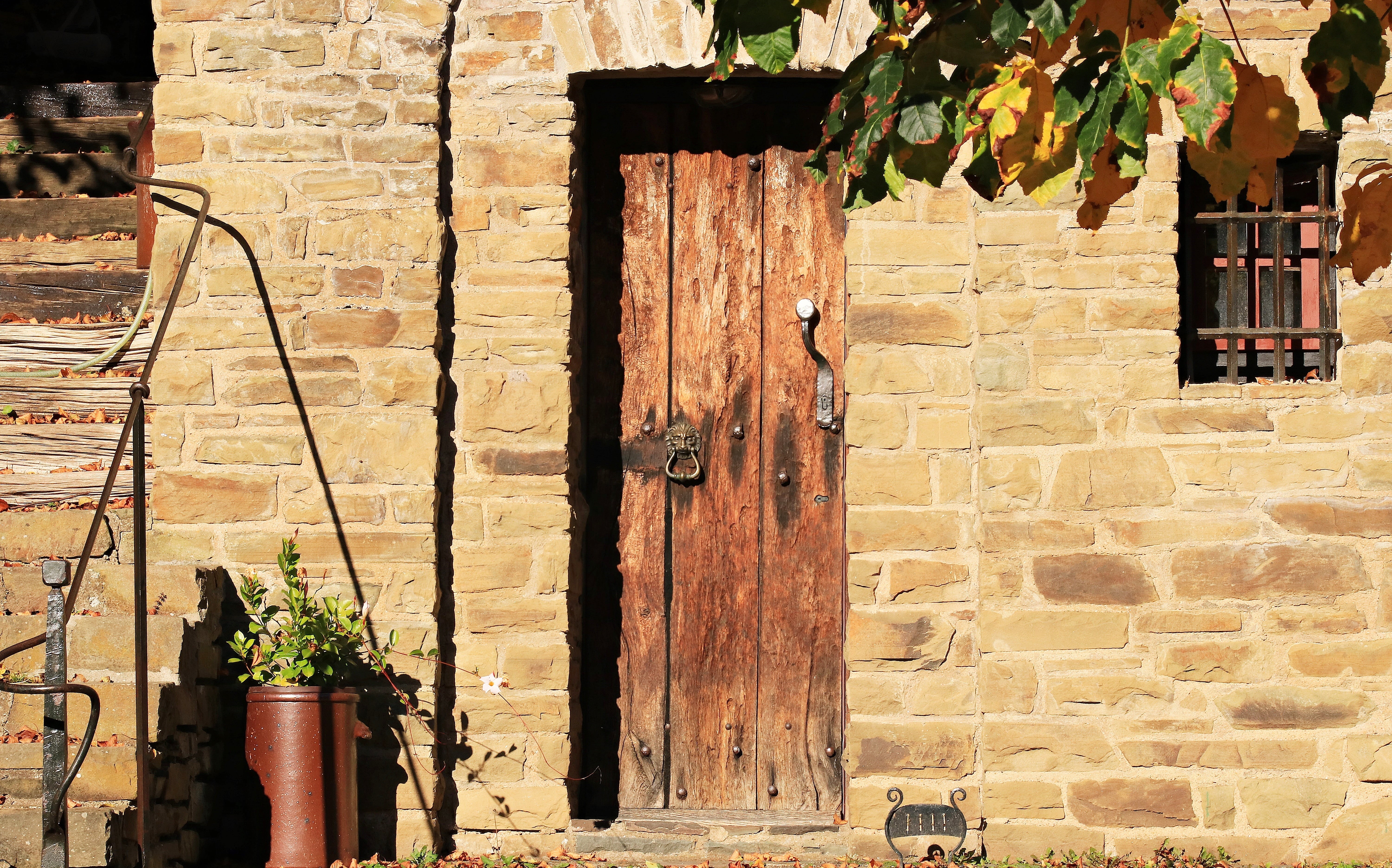 trees, doorknocker, architecture, stone stairway, window, potted plant, lion door knocker, rural, wooden door, door hardware, sunlight, old house, building, HD Wallpaper