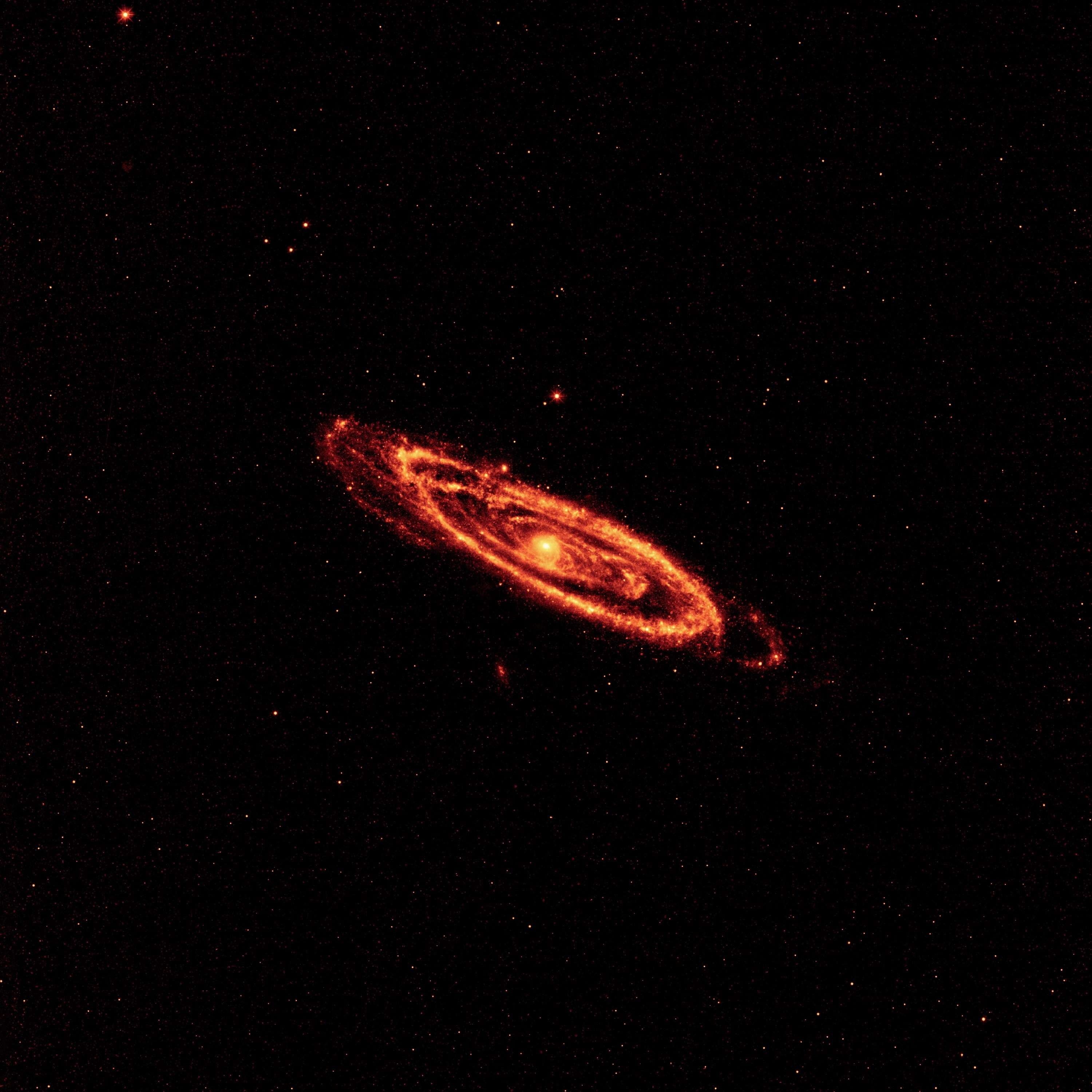 black background, wise, spiral galaxy, animal themes, science, outdoors, nature, animal, animals in the wild, cosmos, messier 31, andromeda, m31, sky, spiral arms, Phone HD Wallpaper