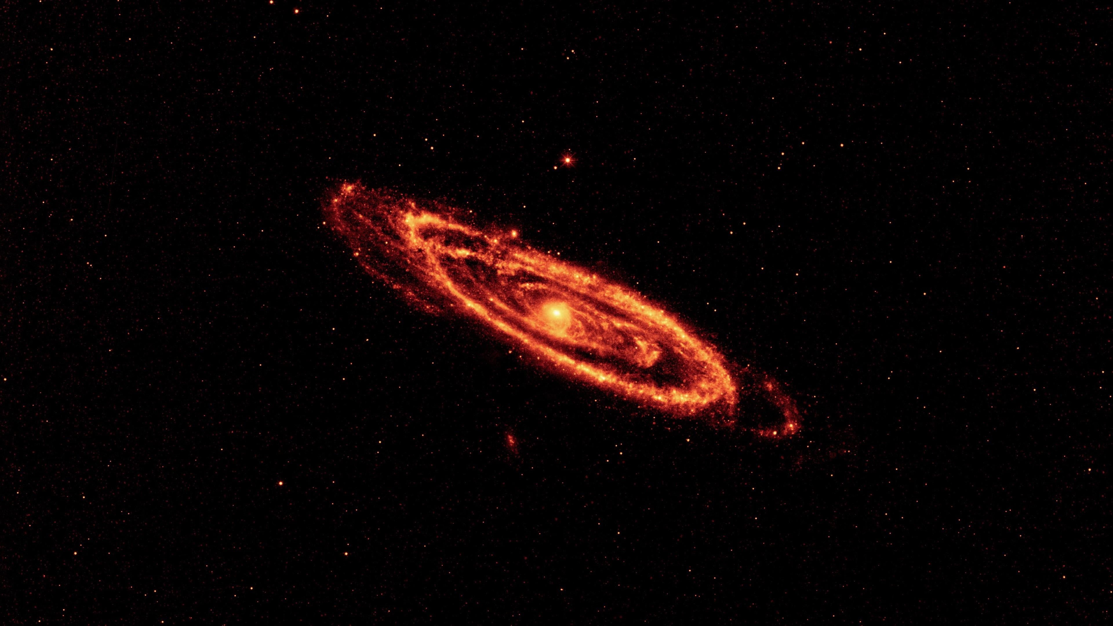 exploding, motion, andromeda, messier 31, nature, animal, mystery, space, planet - space, m31, science, photography, universe, 4K, space exploration, andromeda nebula, HD Wallpaper