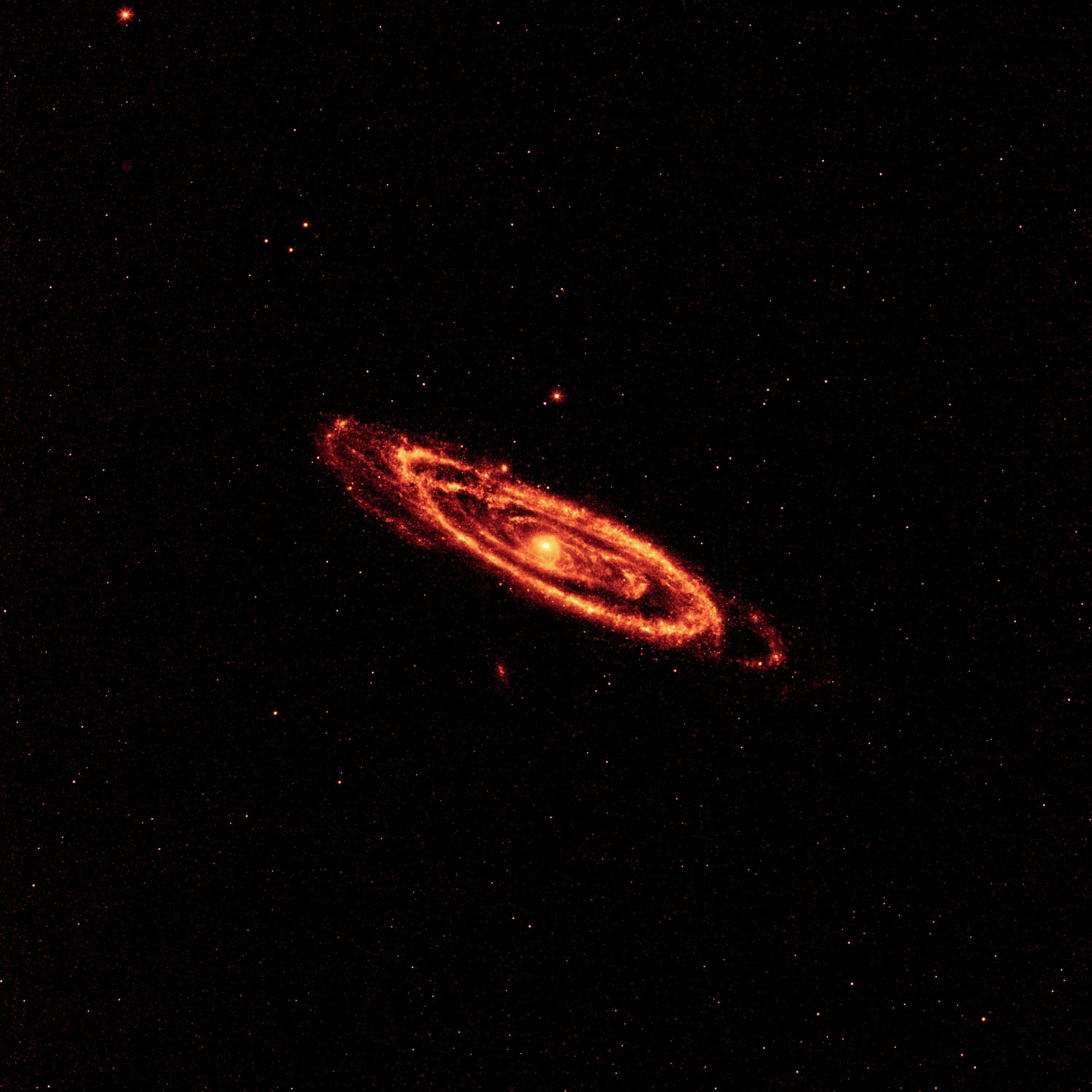 animal wildlife, sea life, galaxy, outdoors, universe, no people, detection, wise, wide-field infrared survey explorer, nature, science, spiral galaxy, Phone HD Wallpaper