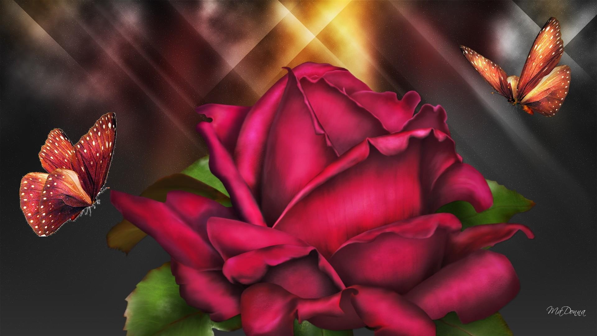 rose, graphics, red, butterfly, flower, bright, 1080P, firefox persona, shine, 3d and abstract, butterflies, shiny, HD Wallpaper