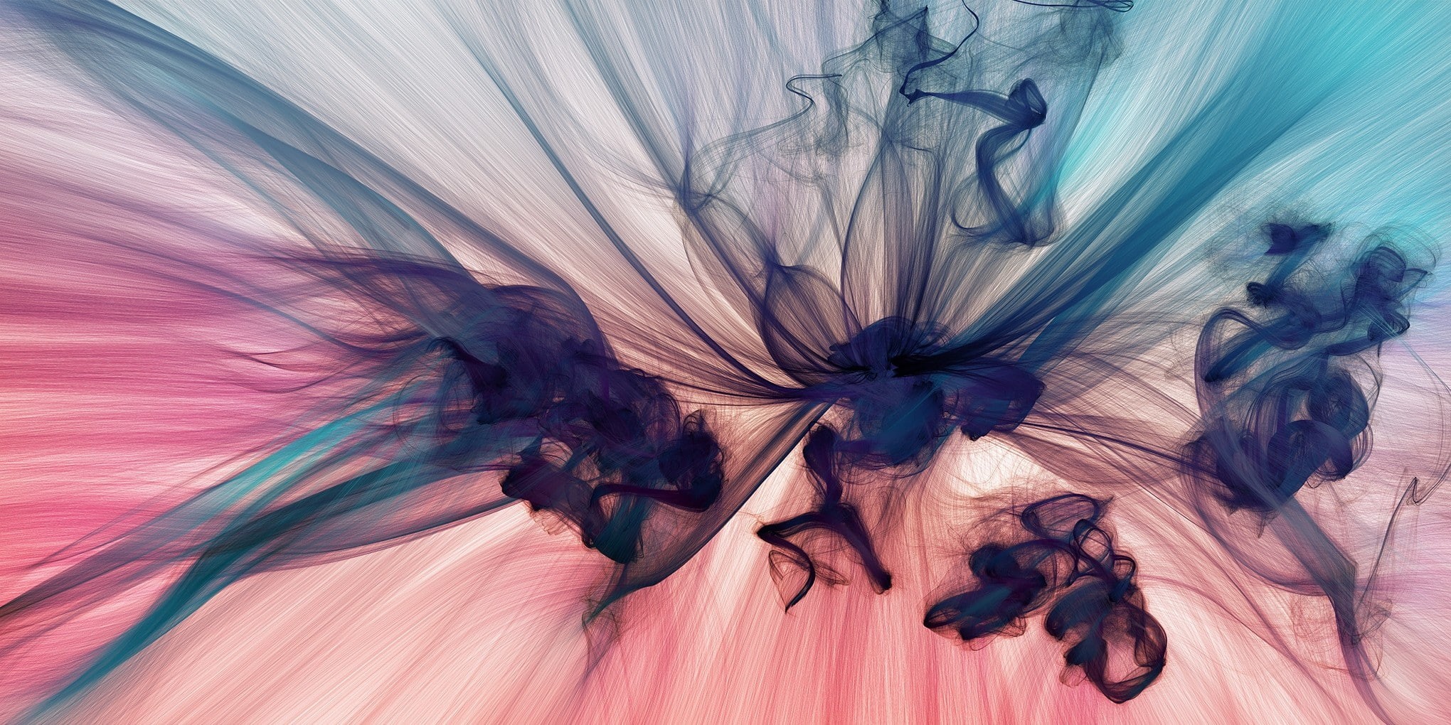 JR Schmidt, still life, studio shot, black, texture, smoke, beauty in nature, indoors, flowering plant, multicolored, digital art, fragility, textile, flower, HD Wallpaper
