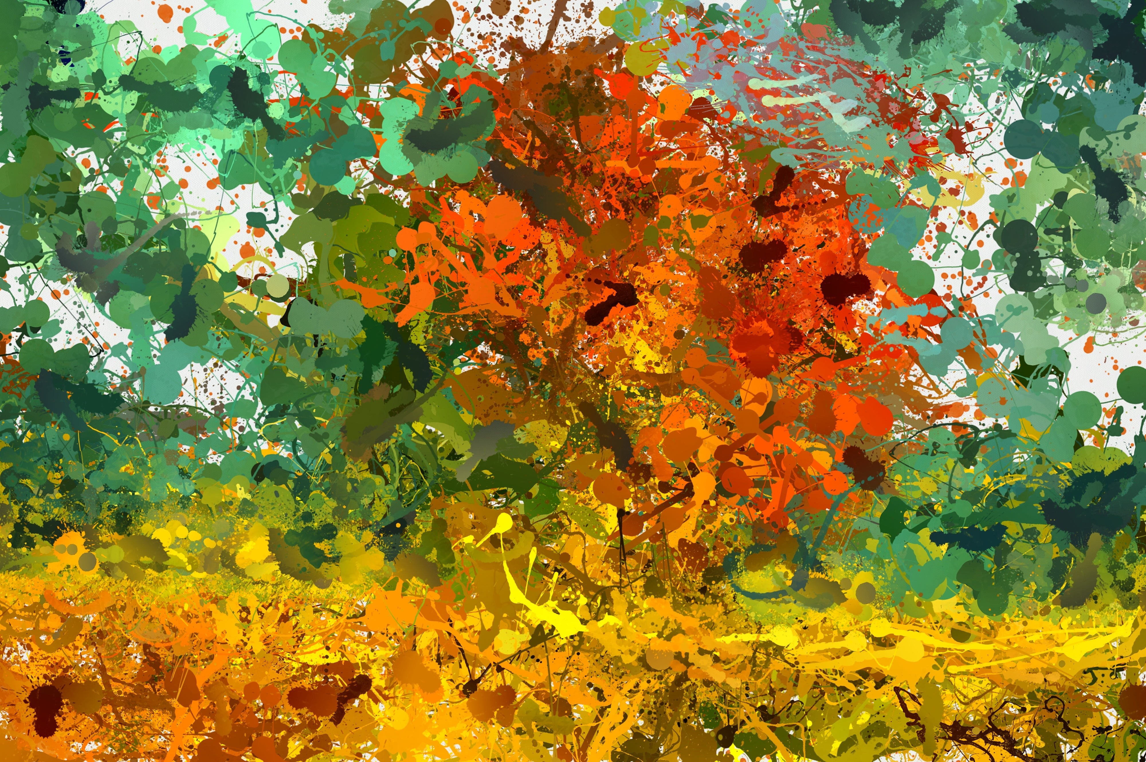 yellow, chaotic, nature, stains, fragility, orange color, growth, no people, 4K, bright, plant, inflorescence, flowering plant, vulnerability, paint, colorful, HD Wallpaper