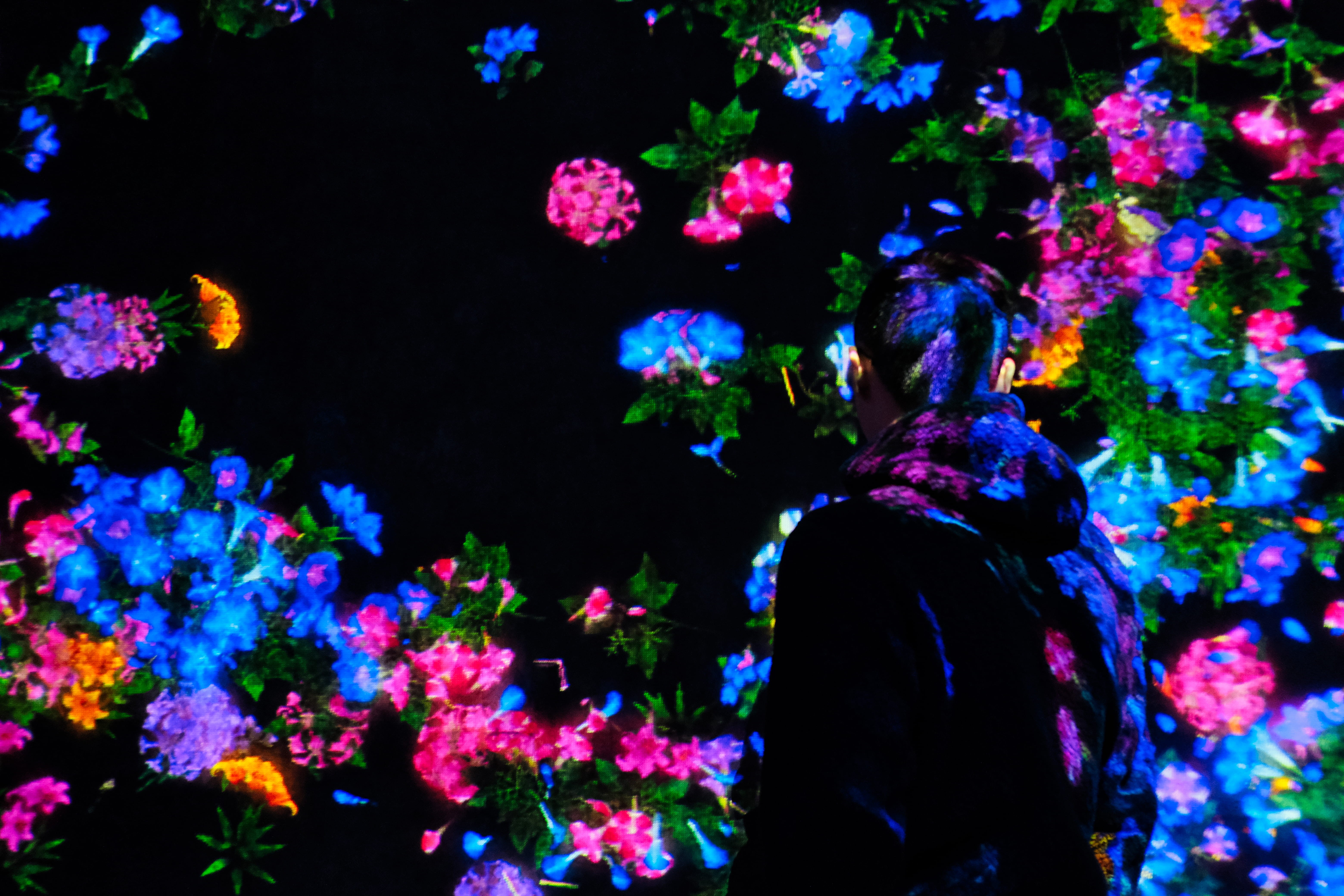 adult, blue, three quarter length, shadow, laser, led, nature, paper, plant, standing, young adult, dj, art exhibition, 5K, crowd, human, spotlight, flowering plant, HD Wallpaper