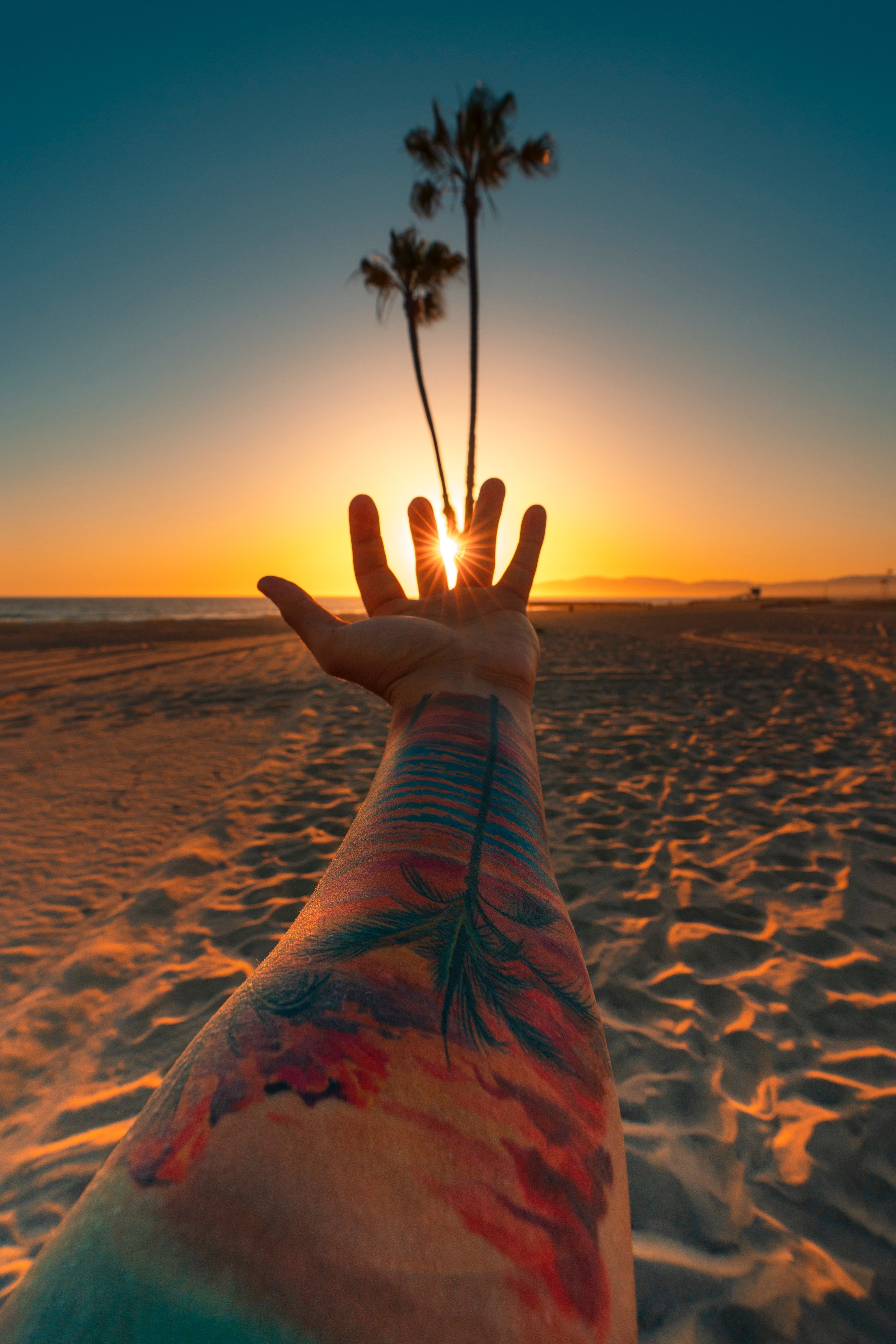 close-up, sunset, sun, orange color, outdoors, lifestyles, 5K, sand, beach, horizon over water, USA, hand, land, Playa del Rey, palm trees, plant, tattoo, Phone HD Wallpaper