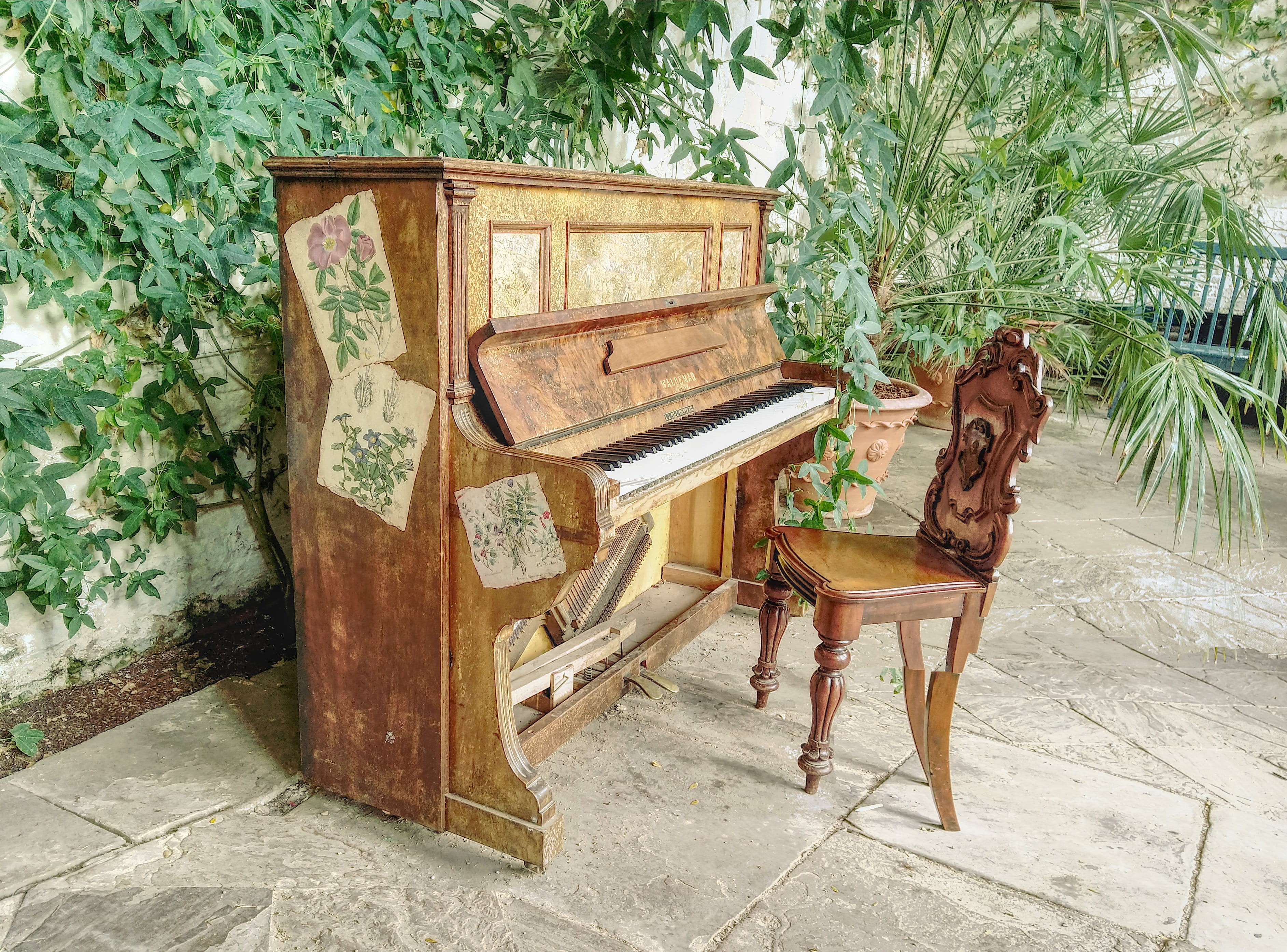 dunham massey, vintage, orangery, abandoned, chair, history, altrincham, antique, old piano, old, dunham massey park, obsolete, united kingdom, grand piano, HD Wallpaper