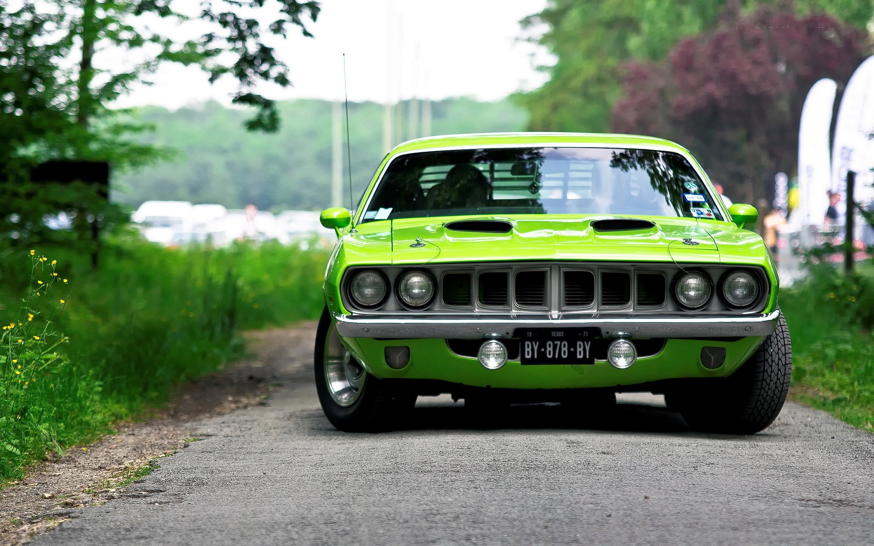 motor vehicle, green color, transportation, tree, Plymouth Barracuda, green, day, nature, plant, architecture, car, retro styled, 2K, travel, mode of transportation, HD Wallpaper