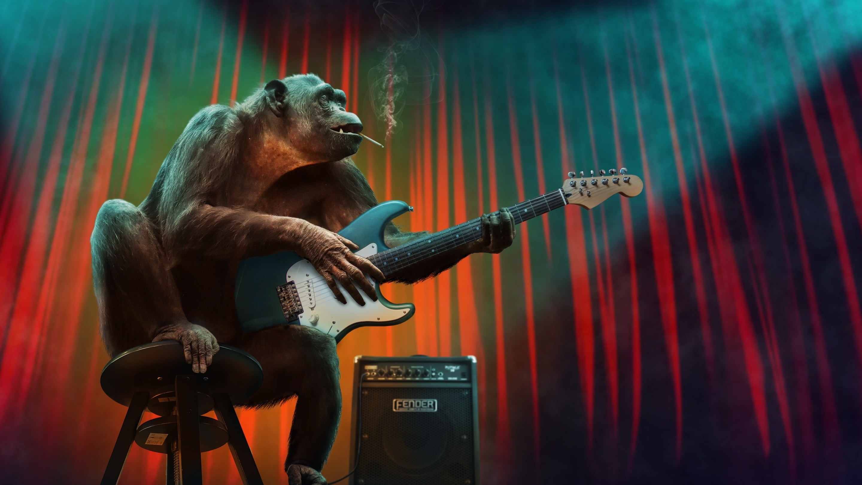 creative, fantasy, stage - performance space, performance, luminos, arts culture and entertainment, :-), mammal, animal wildlife, one animal, monkey, guitar, HD Wallpaper