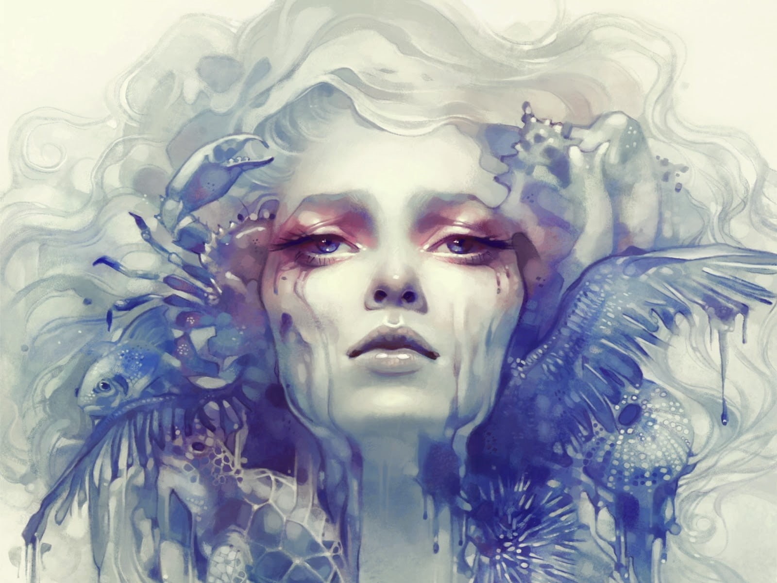 beautiful woman, creativity, representation, digital composite, paint, face, indoors, front view, zodiac, luminos, feather, studio shot, blue, real people, HD Wallpaper