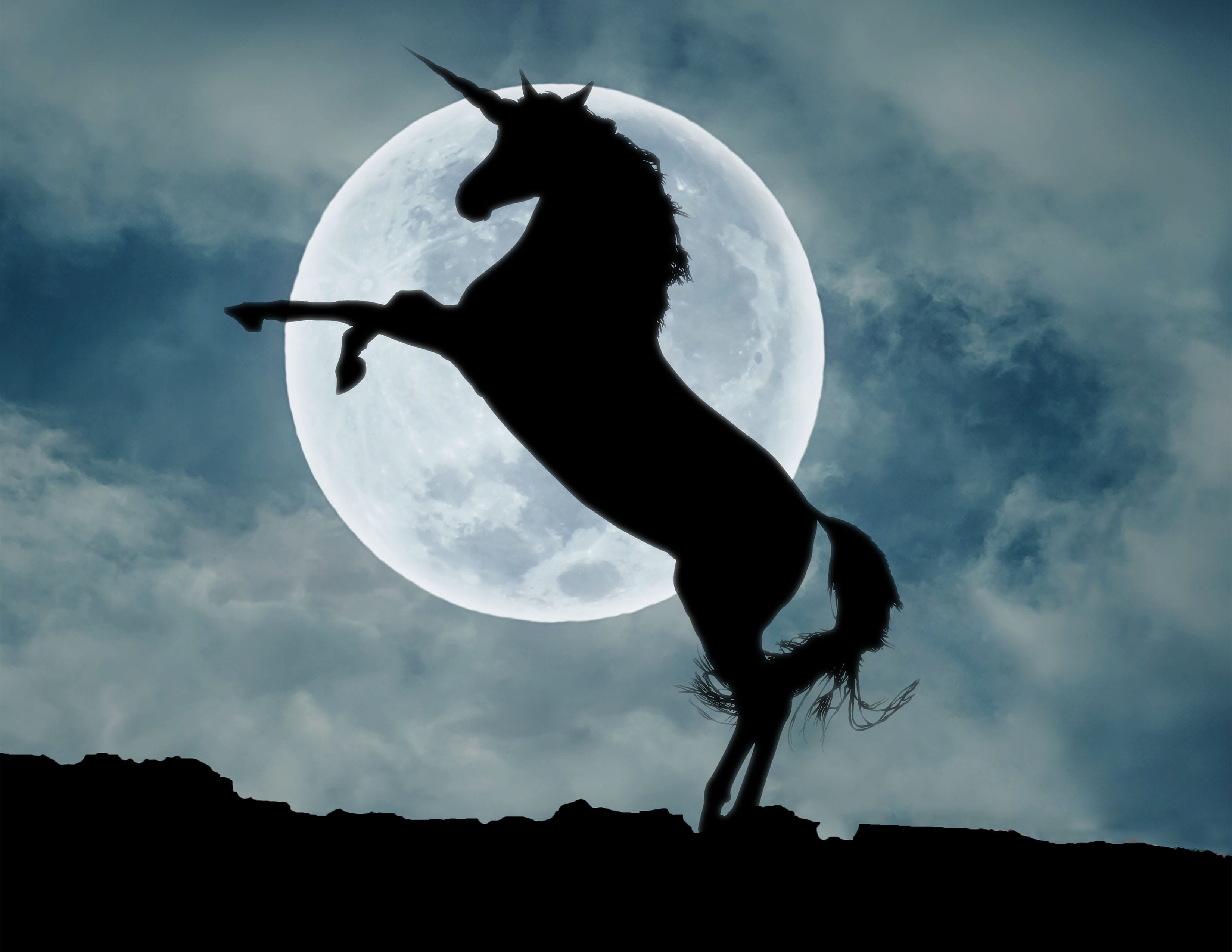 cloud - sky, animal wildlife, nature, one person, leisure activity, beauty in nature, one animal, unicorn, silhouette, low angle view, full length, 2K, HD Wallpaper