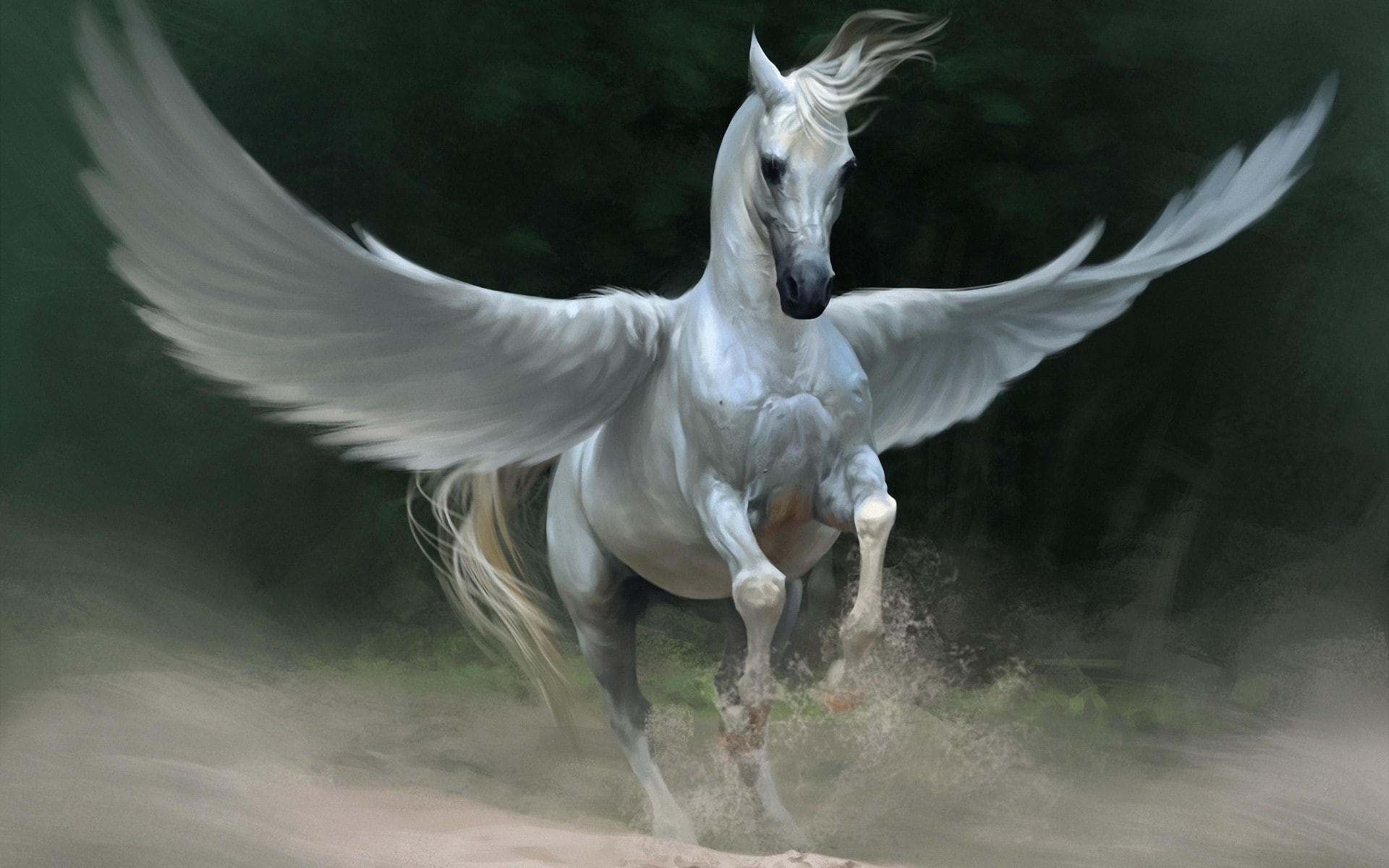 animals in the wild, horse, motion, animal wildlife, white color, wings, animal wing, fantasy art, water, day, vertebrate, 1080P, spread wings, animal body part, HD Wallpaper