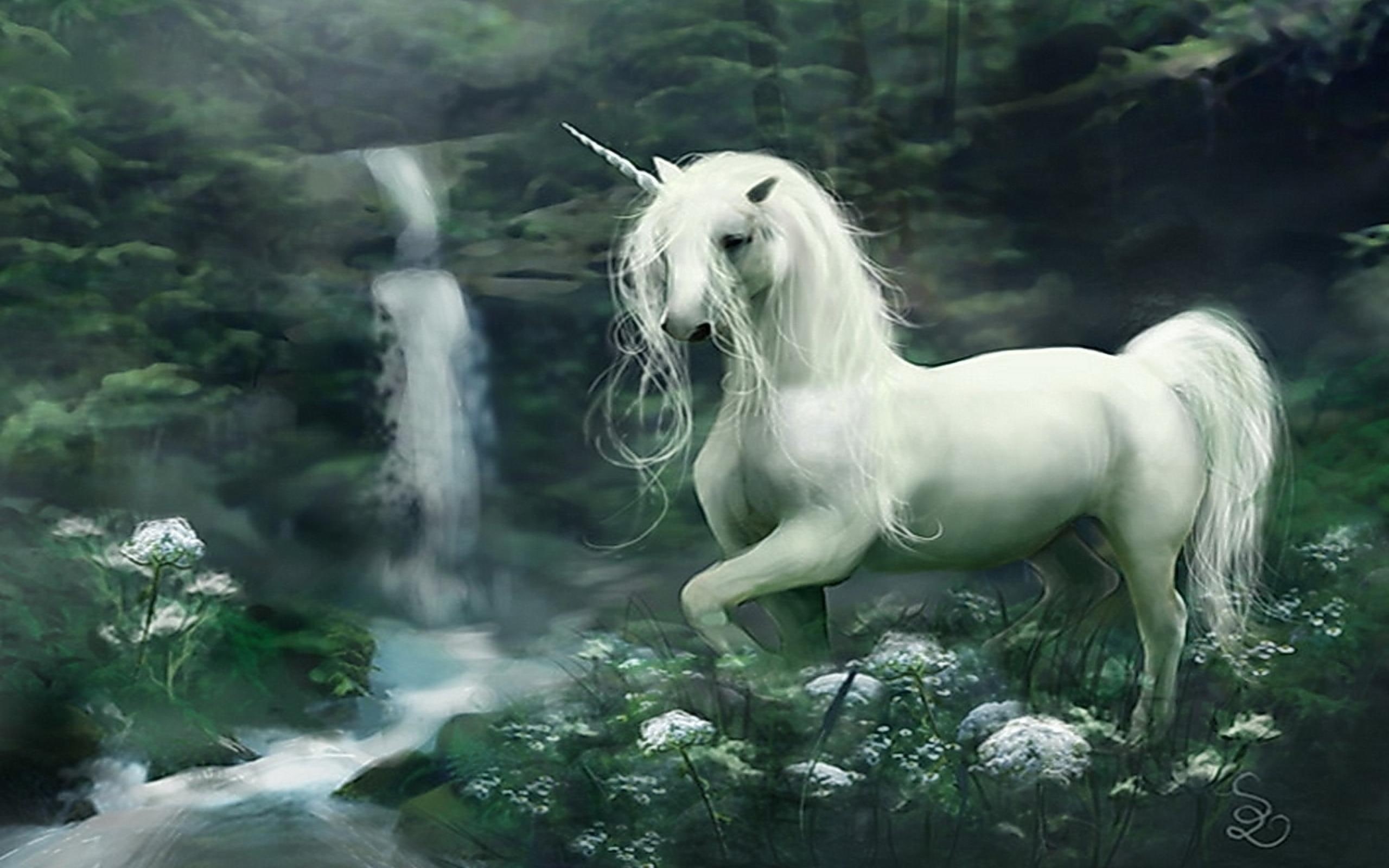 spirit, 2K, lovely, magic, waterfall, novel, soul, spiritual, unicorn, white, flowers, beautiful, HD Wallpaper