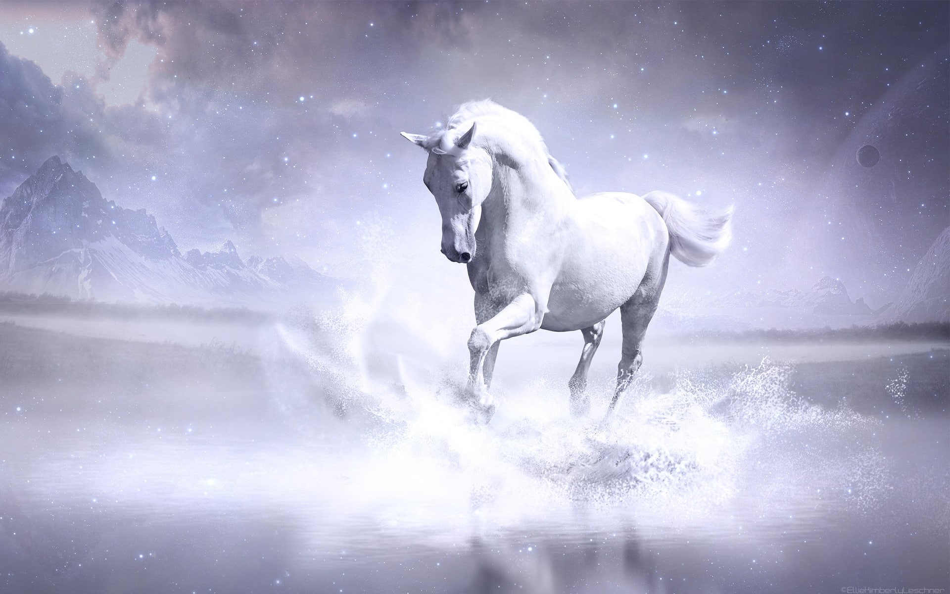 white, 1080P, horse, HD Wallpaper