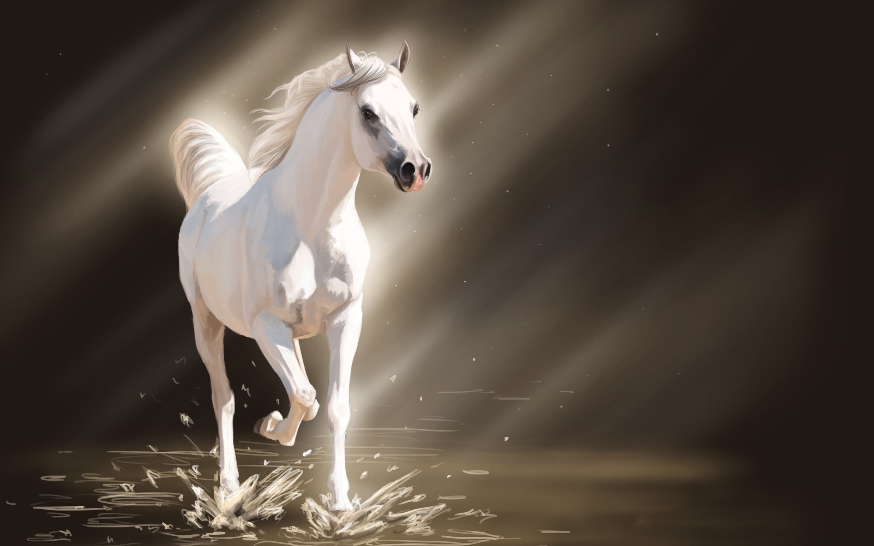 white, 2K, horse, horses, young, white horse, HD Wallpaper
