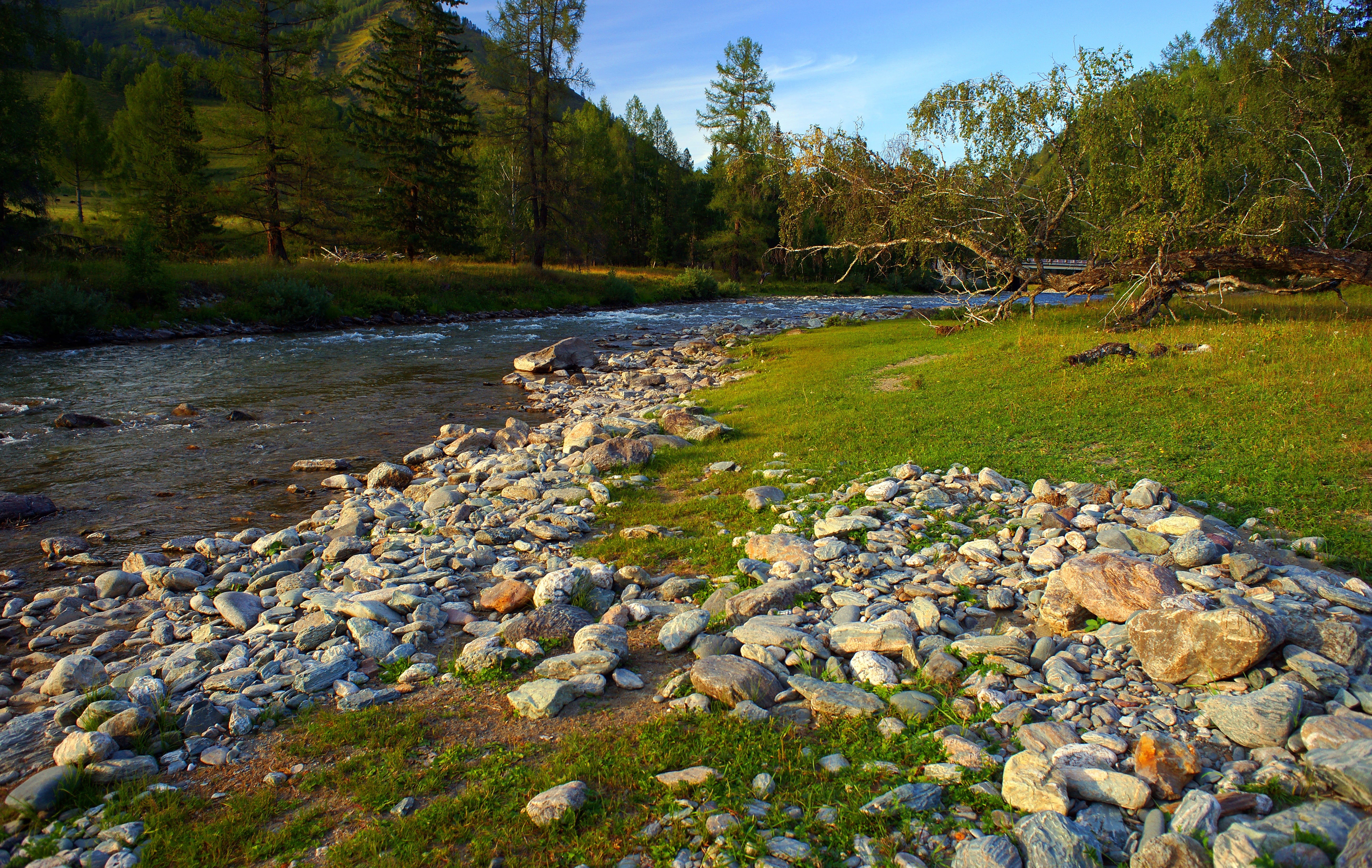 evening, flowing water, no people, scenics, nature, mountains, water, non-urban scene, day, tranquil scene, pebbles, plant, flowing, river bank, near, river, HD Wallpaper