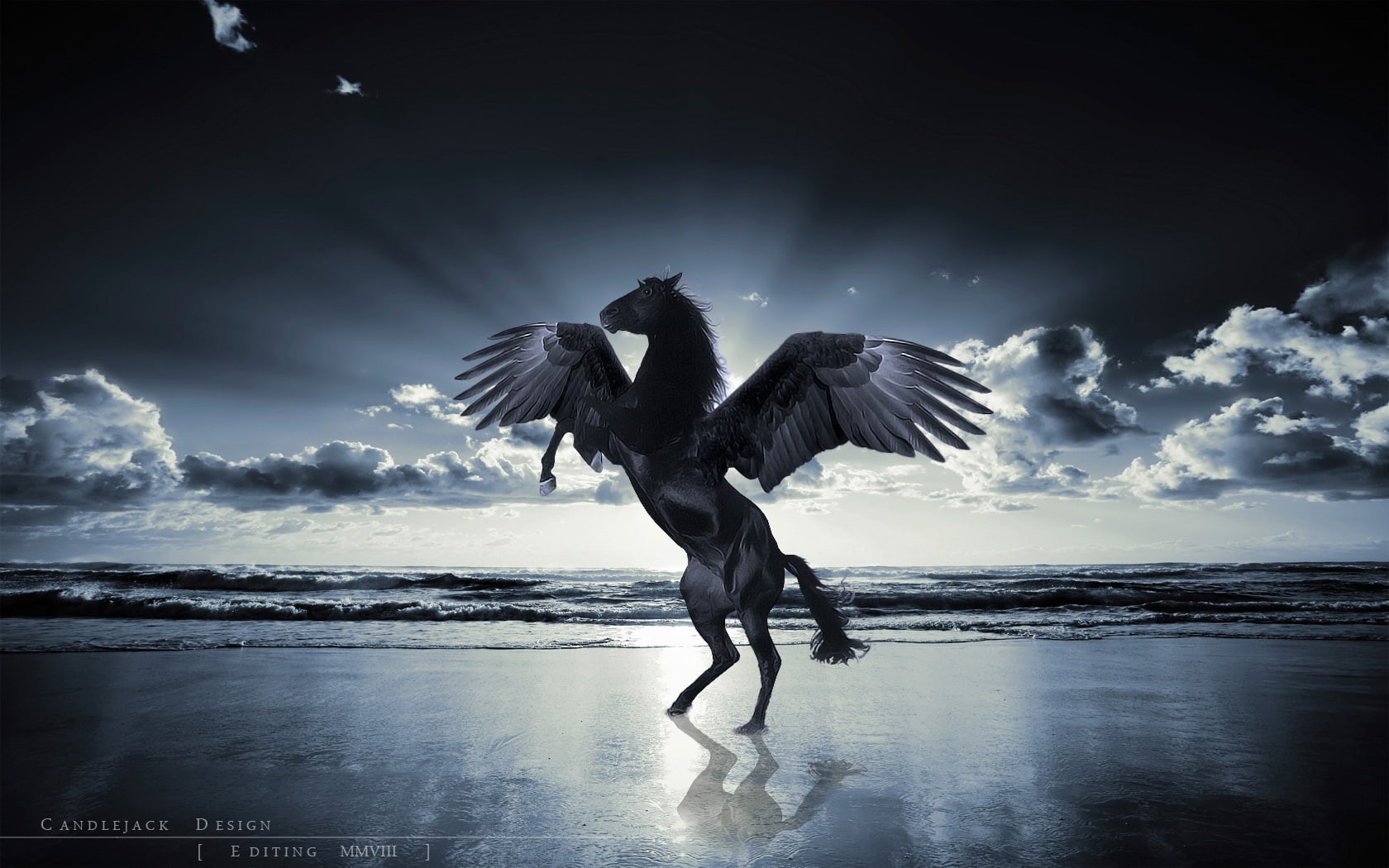 flying, outdoors, horse, beach, bird, spread wings, full length, nature, group of animals, animals in the wild, horizon over water, no people, motion, animal themes, HD Wallpaper