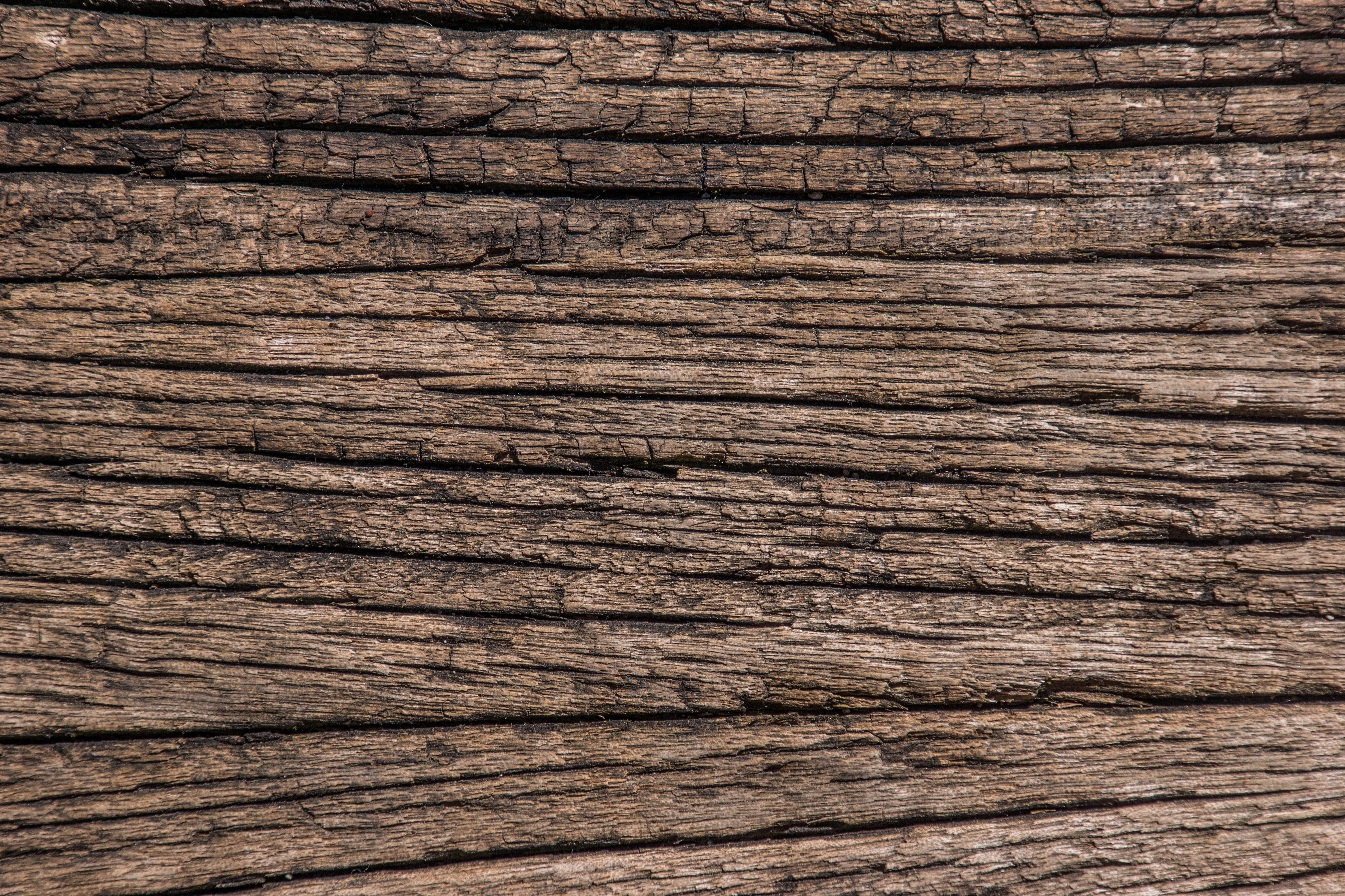 wood, wood - material, brown, copy space, texture, nature, clean, 5K, old, no people, boards, macro, hardwood, plot, nice, plank, extreme close-up, veins, HD Wallpaper