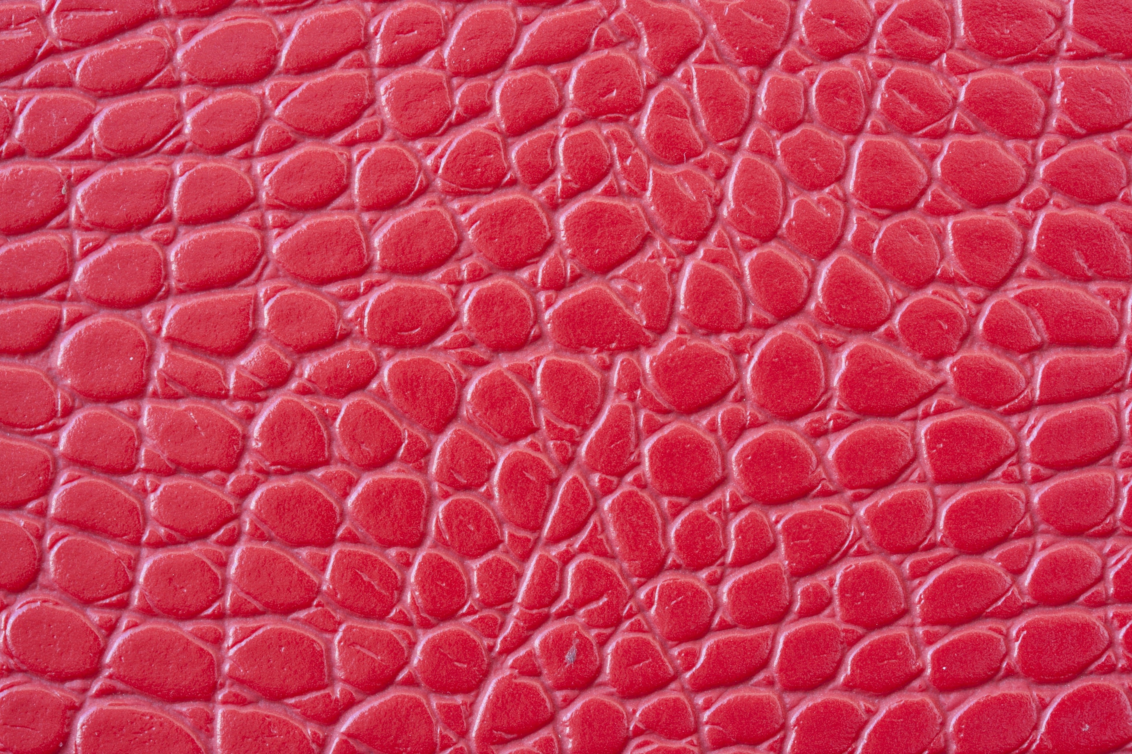 design, wallet, no people, animal body part, decoration, beautiful, detail, texture, snake, surface, close-up, background, leather, backgrounds, HD Wallpaper