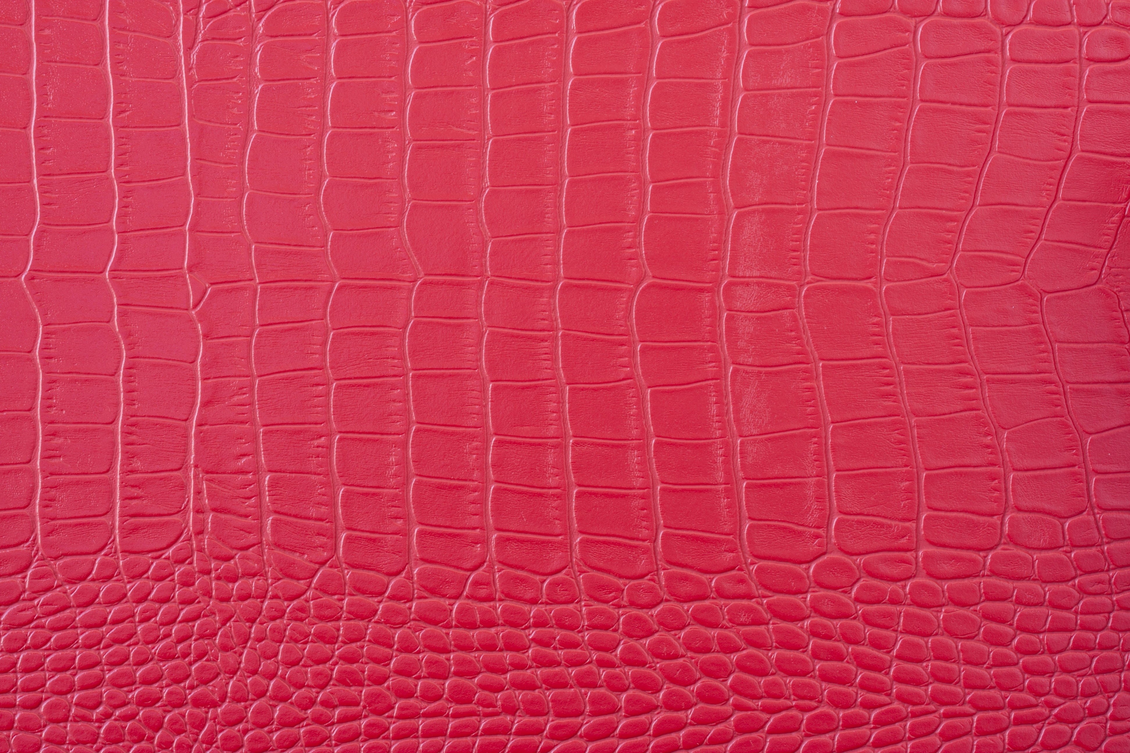 close-up, brown, leather, animal skin, surface, detail shots, detail, sewing, macro, snake, pink, animal themes, pattern, decoration, material, HD Wallpaper
