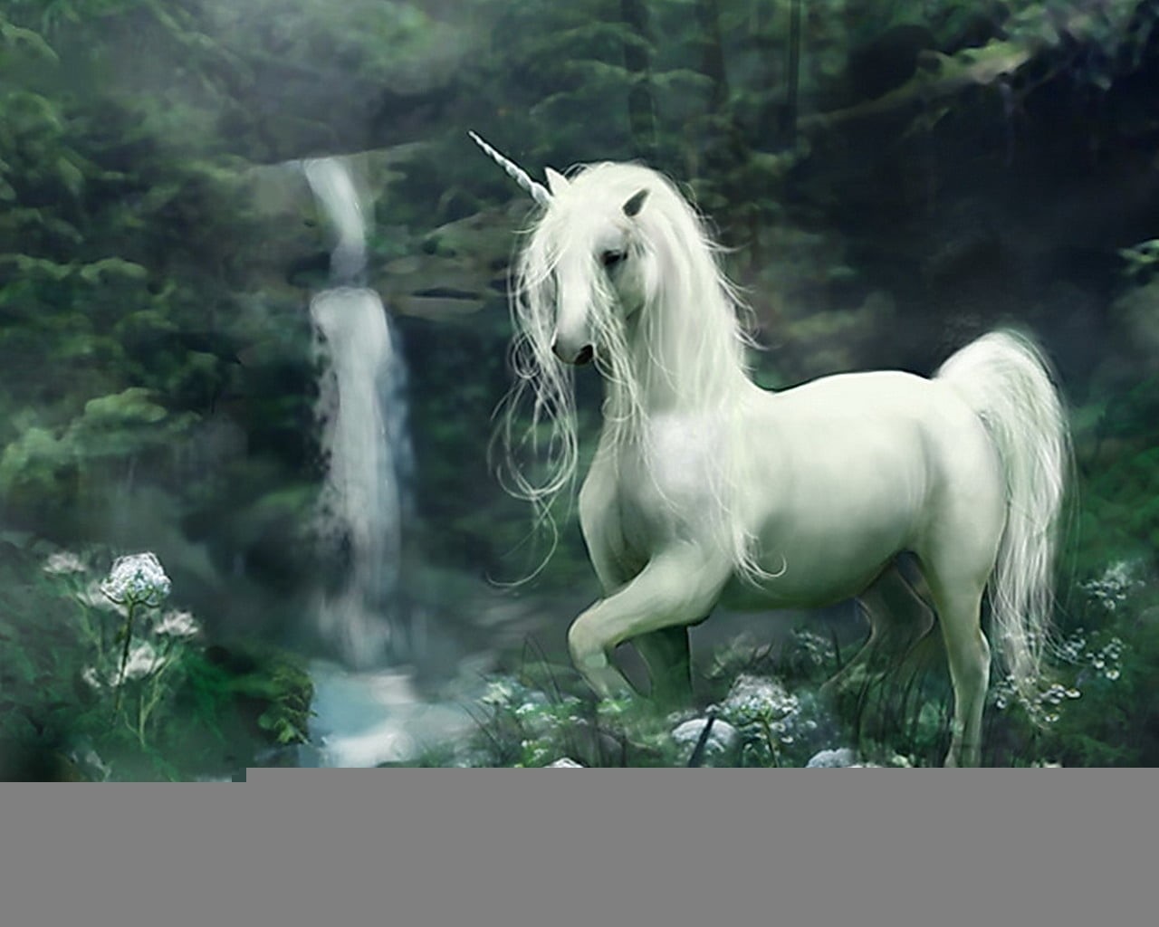 domestic Animals, livestock, beautiful, stallion, beauty, vertebrate, white, no people, tree, white color, hairstyle, digital, animal Head, purebred Dog, HD Wallpaper