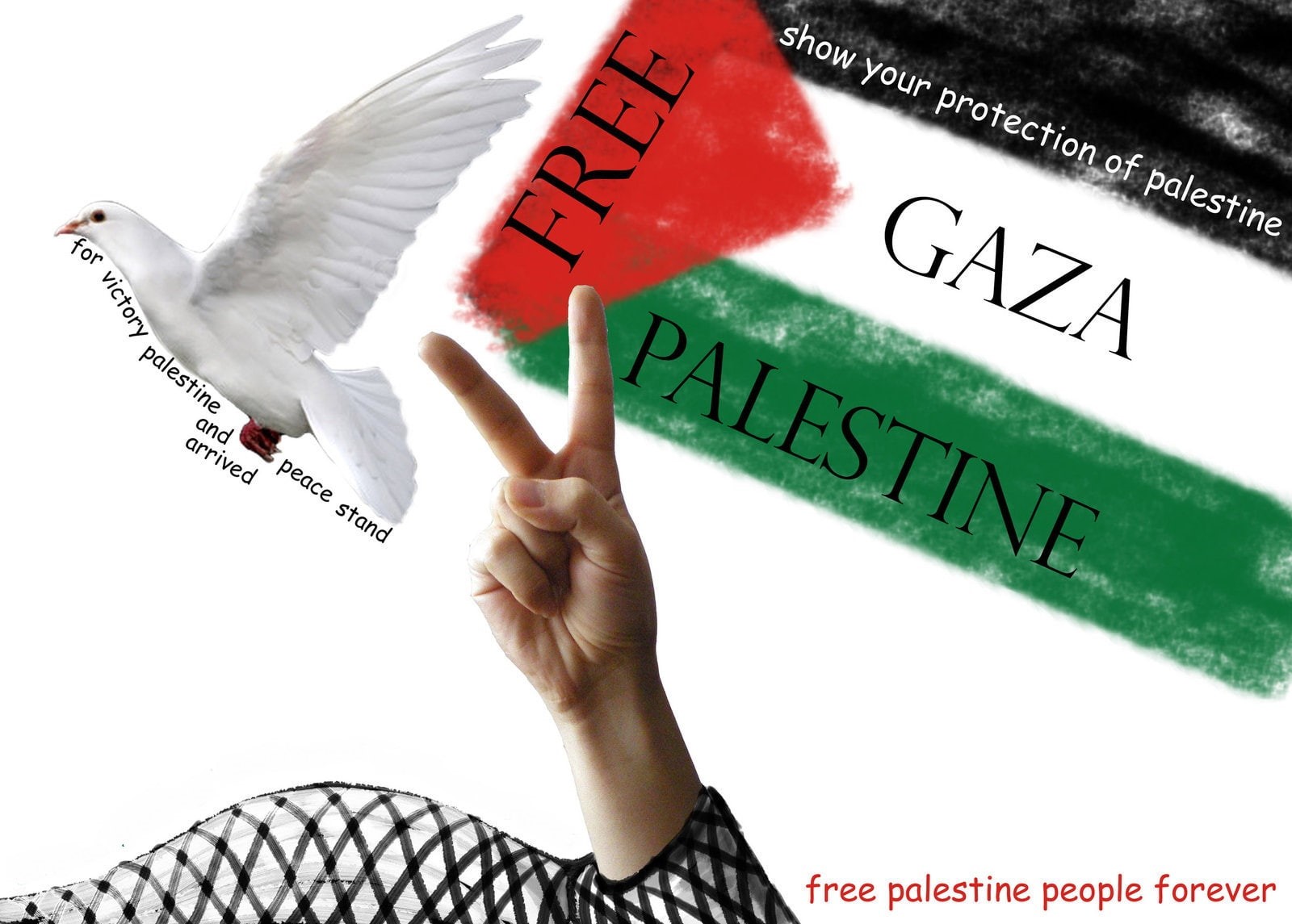 men, supporters, close-up, dove, 720P, finger, communication, flag, Gaza, body part, human body part, paper, propaganda, holding, Palestine, message, unrecognizable person, HD Wallpaper