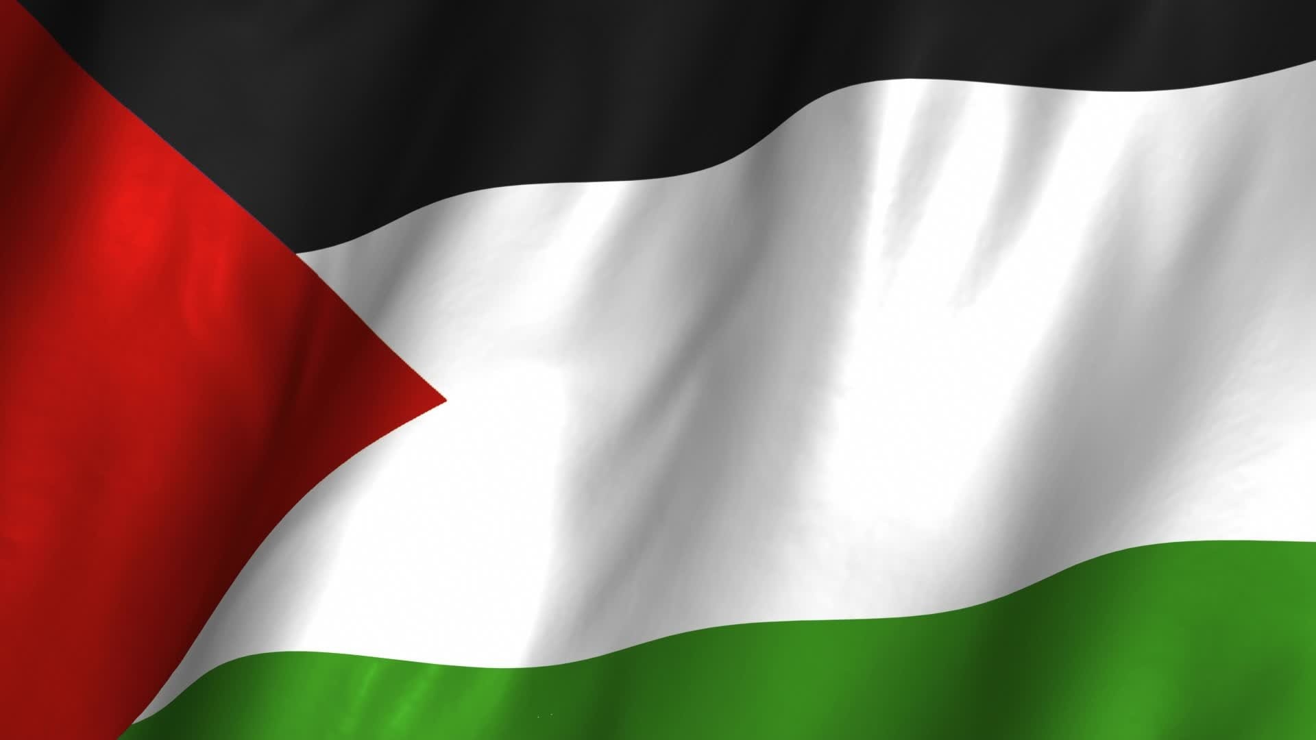 flag, 1080P, palestine, HD Wallpaper