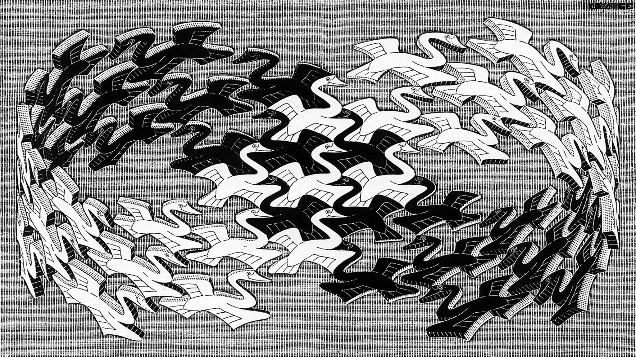 1080P, m, artwork, m. c. escher, 3d, animals, mobius, monochrome, flying, strip, bird, psychedelic, d, escher, mobius strip, c, HD Wallpaper