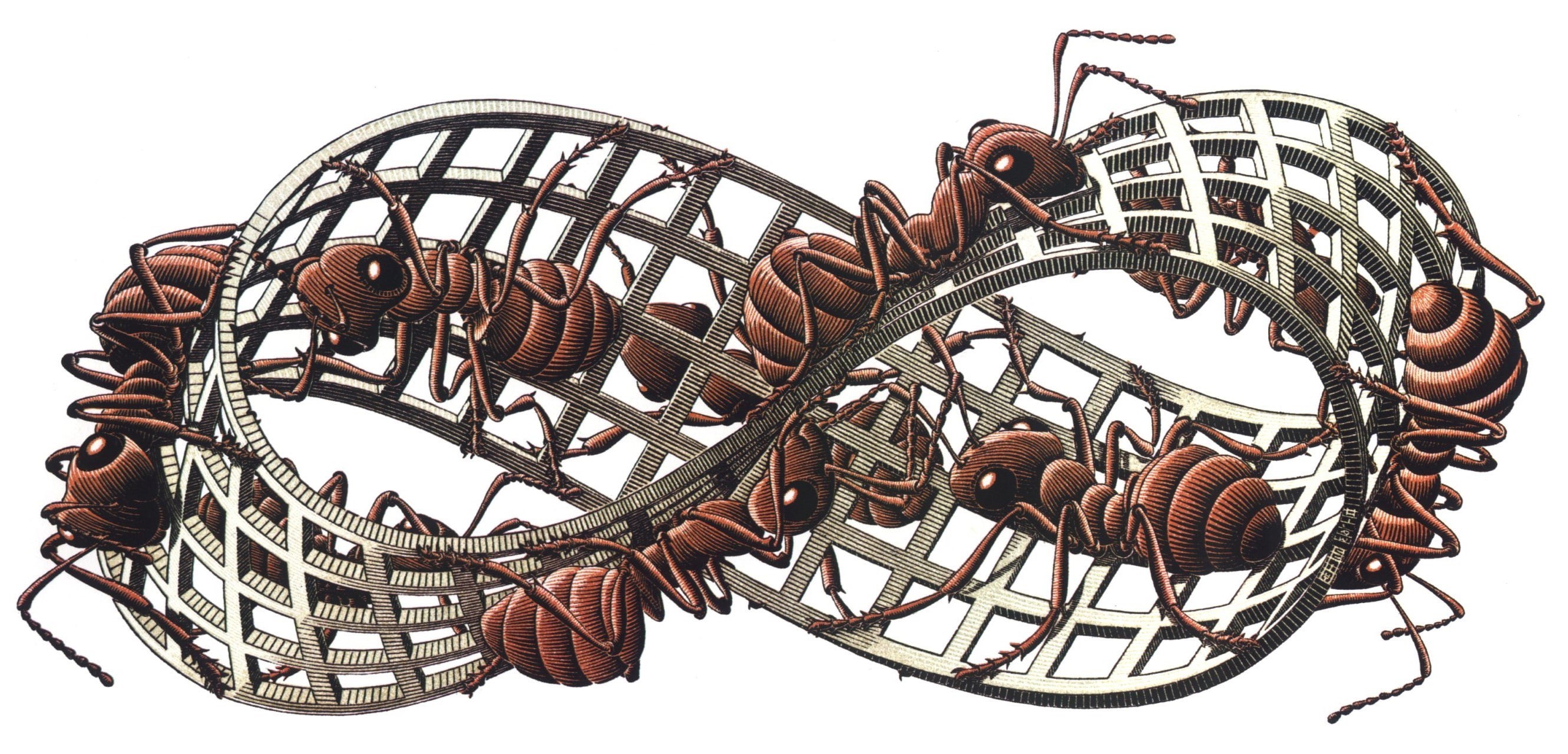 M. C. Escher, sky, studio shot, ants, security, pattern, fishing industry, art and craft, brown, Mobius Strip, metal, no people, arts culture and entertainment, HD Wallpaper