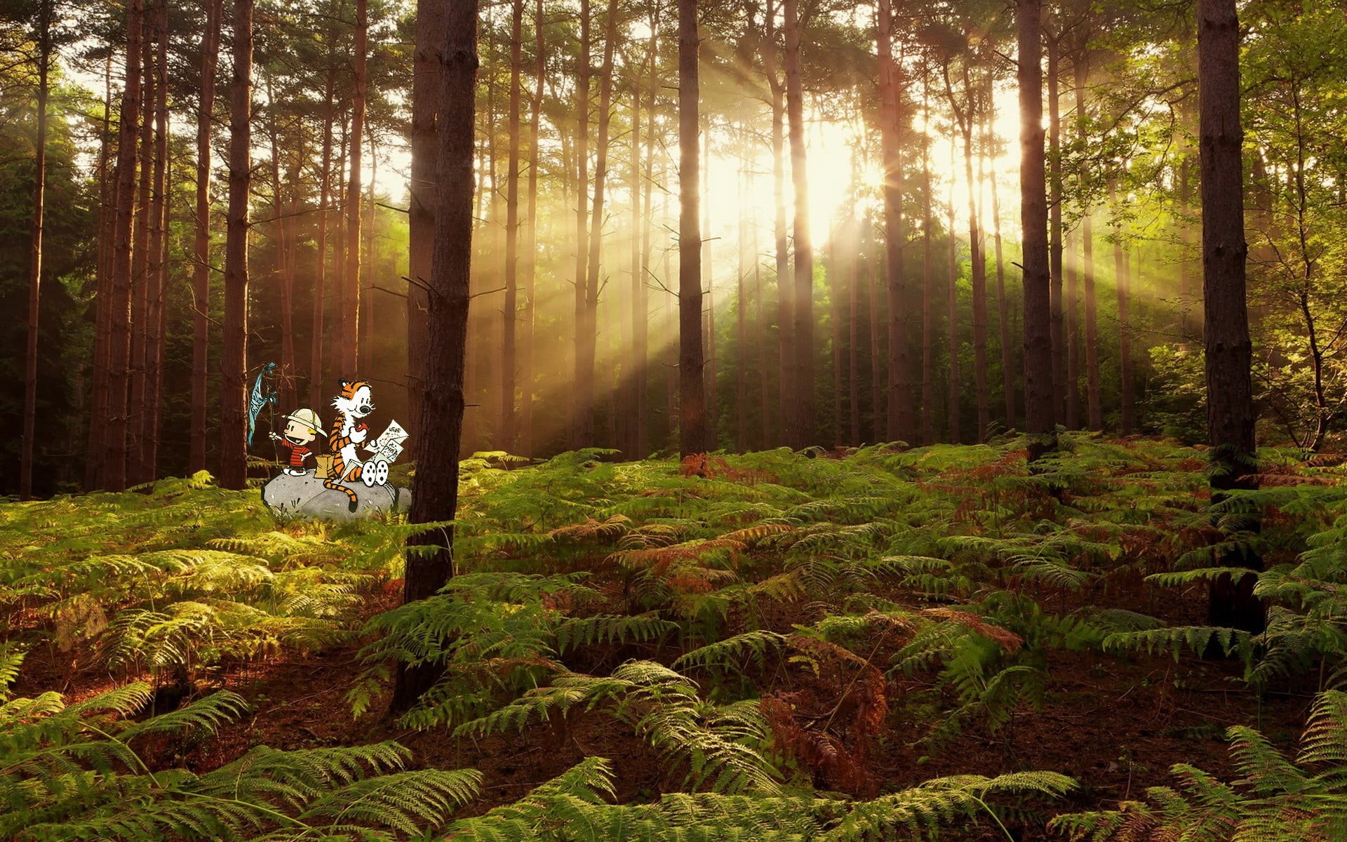 forest, non-urban scene, tree, sunlight, outdoors, Calvin and Hobbes, day, land, men, tranquility, cartoon, trunk, 1080P, one person, Bill Watterson, tree trunk, HD Wallpaper