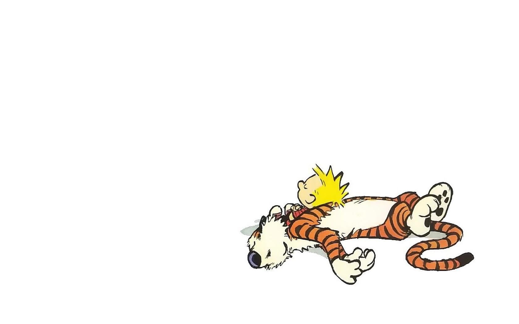 comics, animal themes, angel, animal representation, indoors, representation, mammal, animal, Bill Watterson, feline, 720P, studio shot, tiger, invertebrate, HD Wallpaper