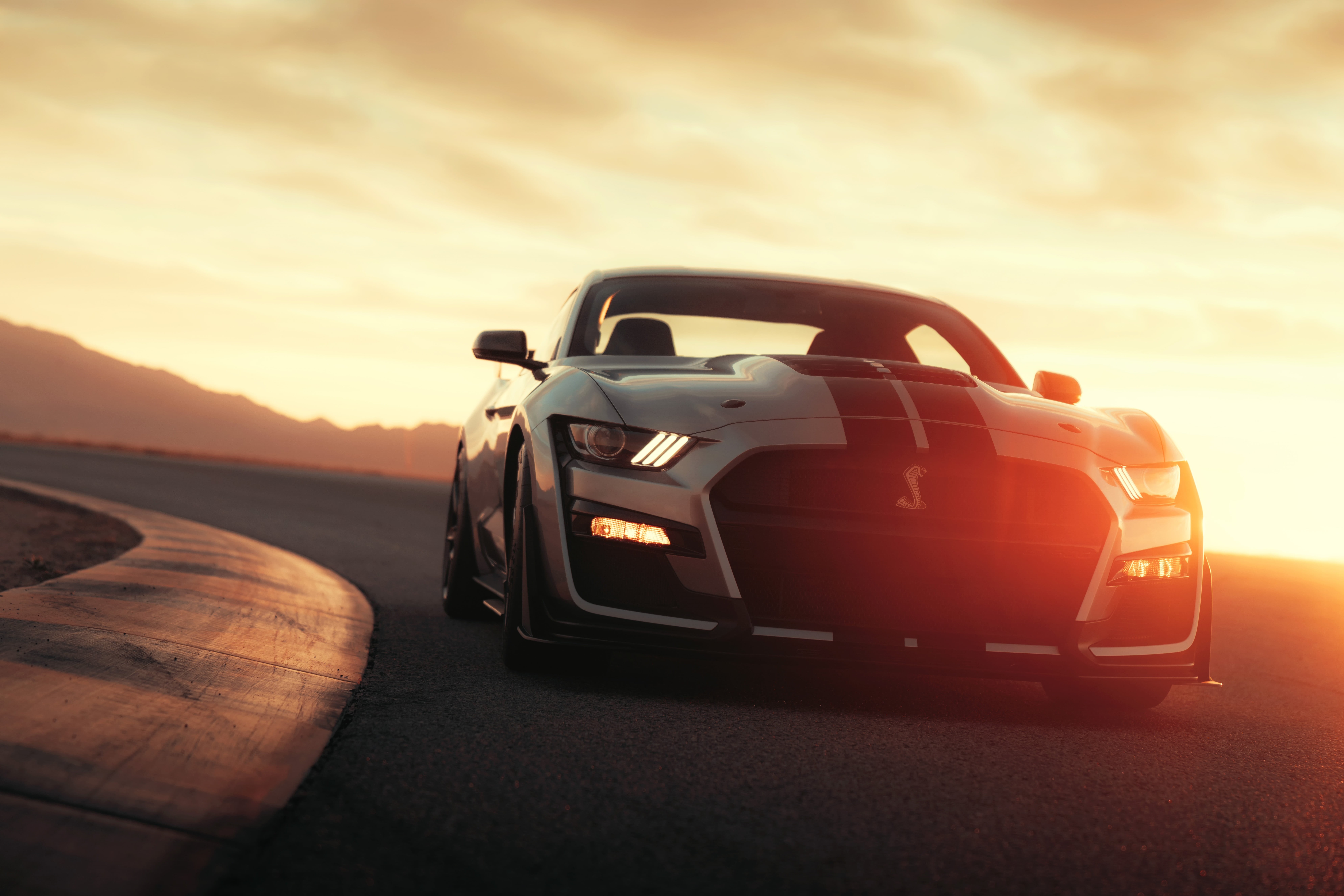 lights, 2020, the sun, 8K, sports car, turn, Ford Mustang Shelby GT500, style, Ford, asphalt, road, machine, strips, sports, light, HD Wallpaper