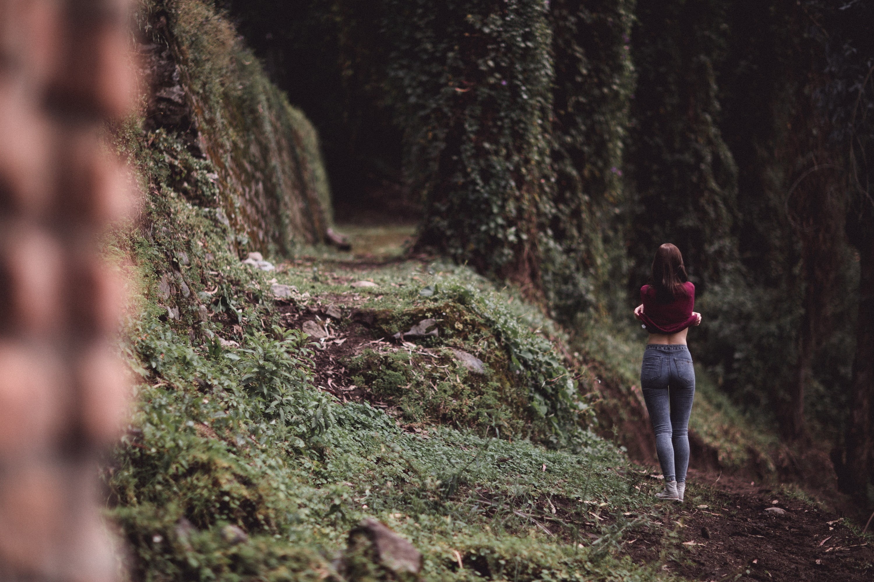 forest, woodland, real people, Converse, adult, 2K, women outdoors, women, model, rear view, tree, land, nature, full length, outdoors, jeans, tree trunk, HD Wallpaper