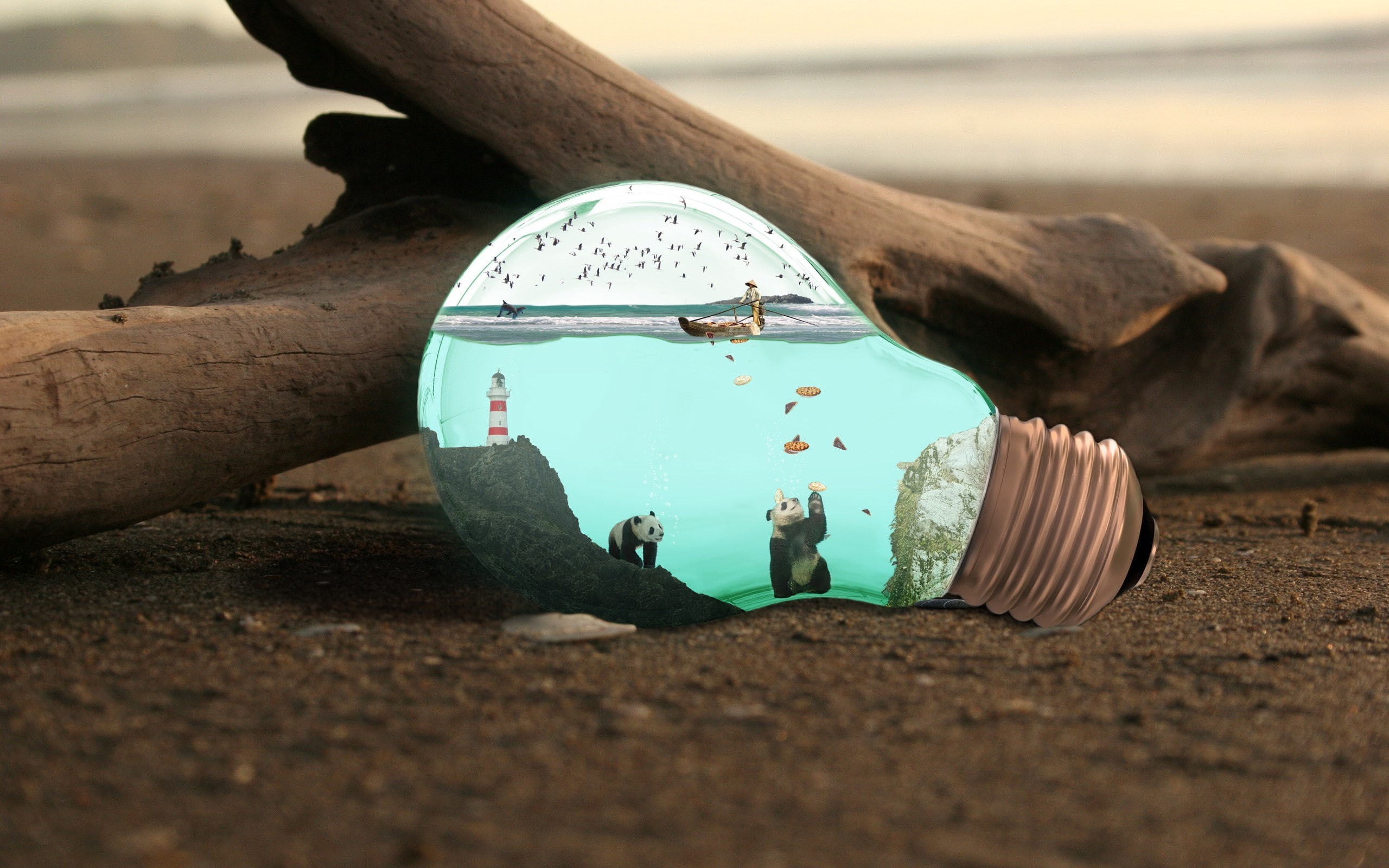 beach, wood, sand, sea, macro, photo manipulation, water, nature, panda, 2K, light bulb, HD Wallpaper