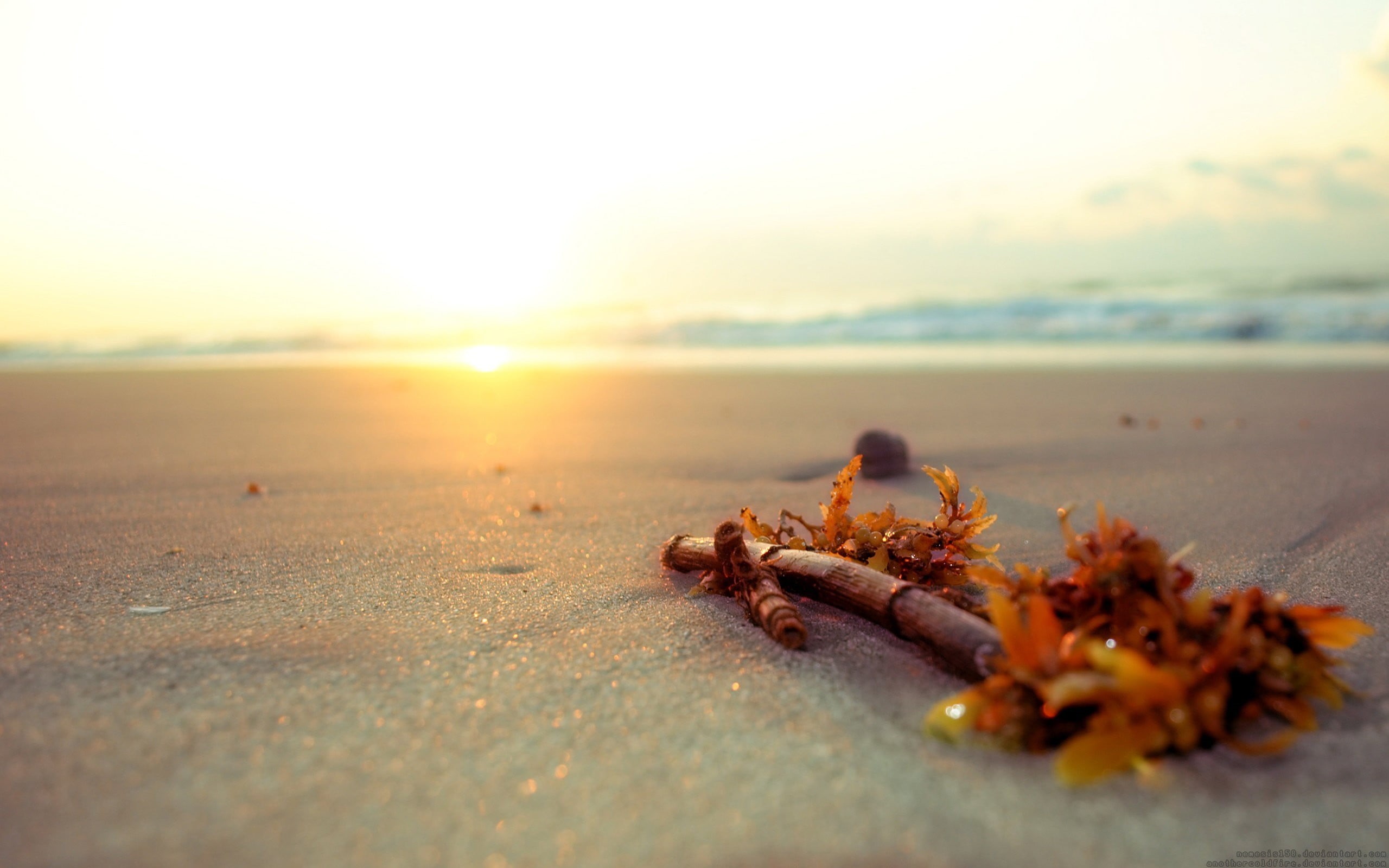 outdoors, sunlight, coastline, orange color, beach, freshness, red, no People, wood, 2K, nature, brown, surface level, sky, scenics - nature, beauty in nature, HD Wallpaper